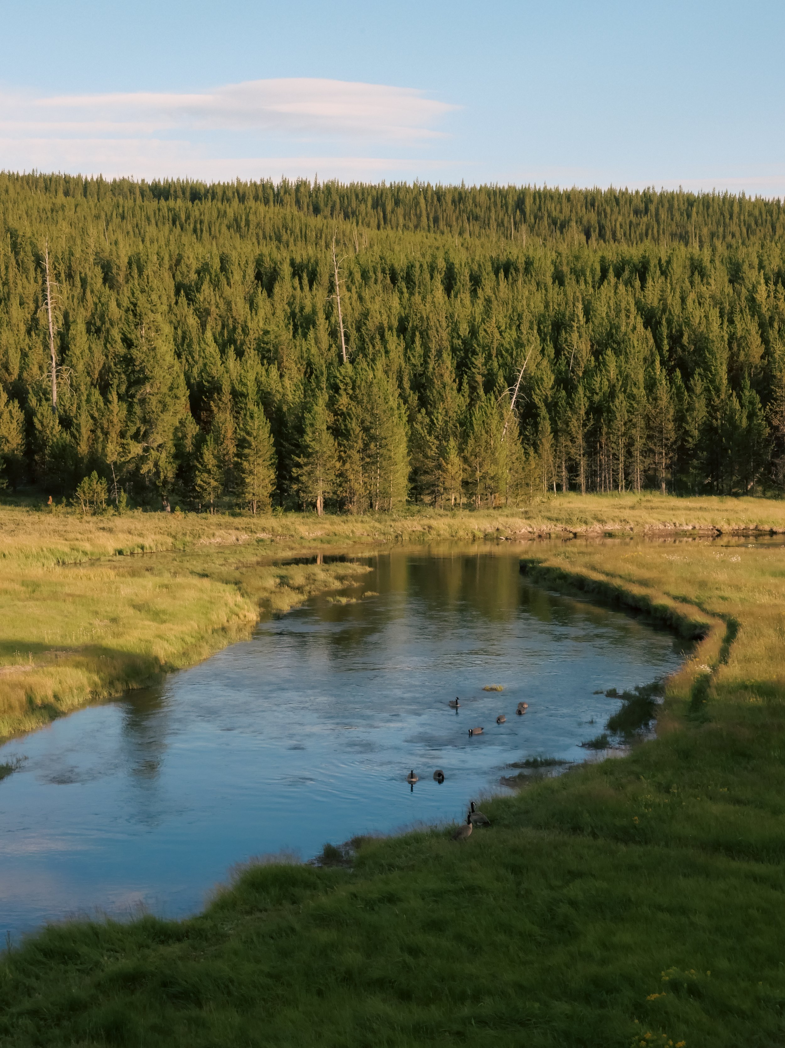Yellowstone National Park, Wyoming