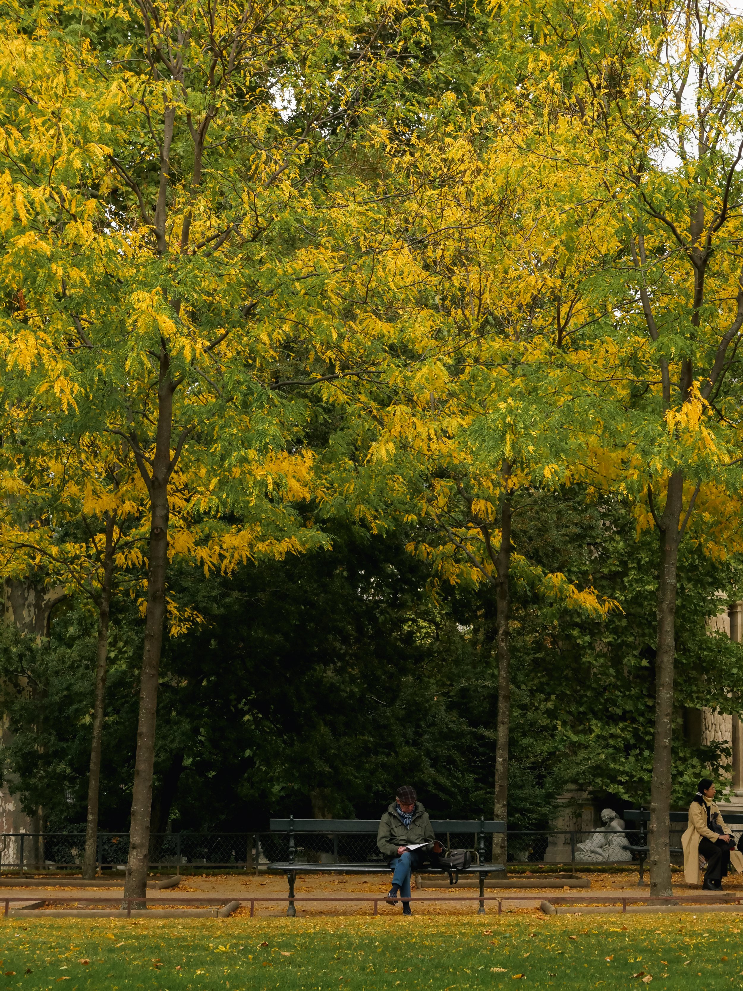 Jardin Du Luxembourg, Paris, France