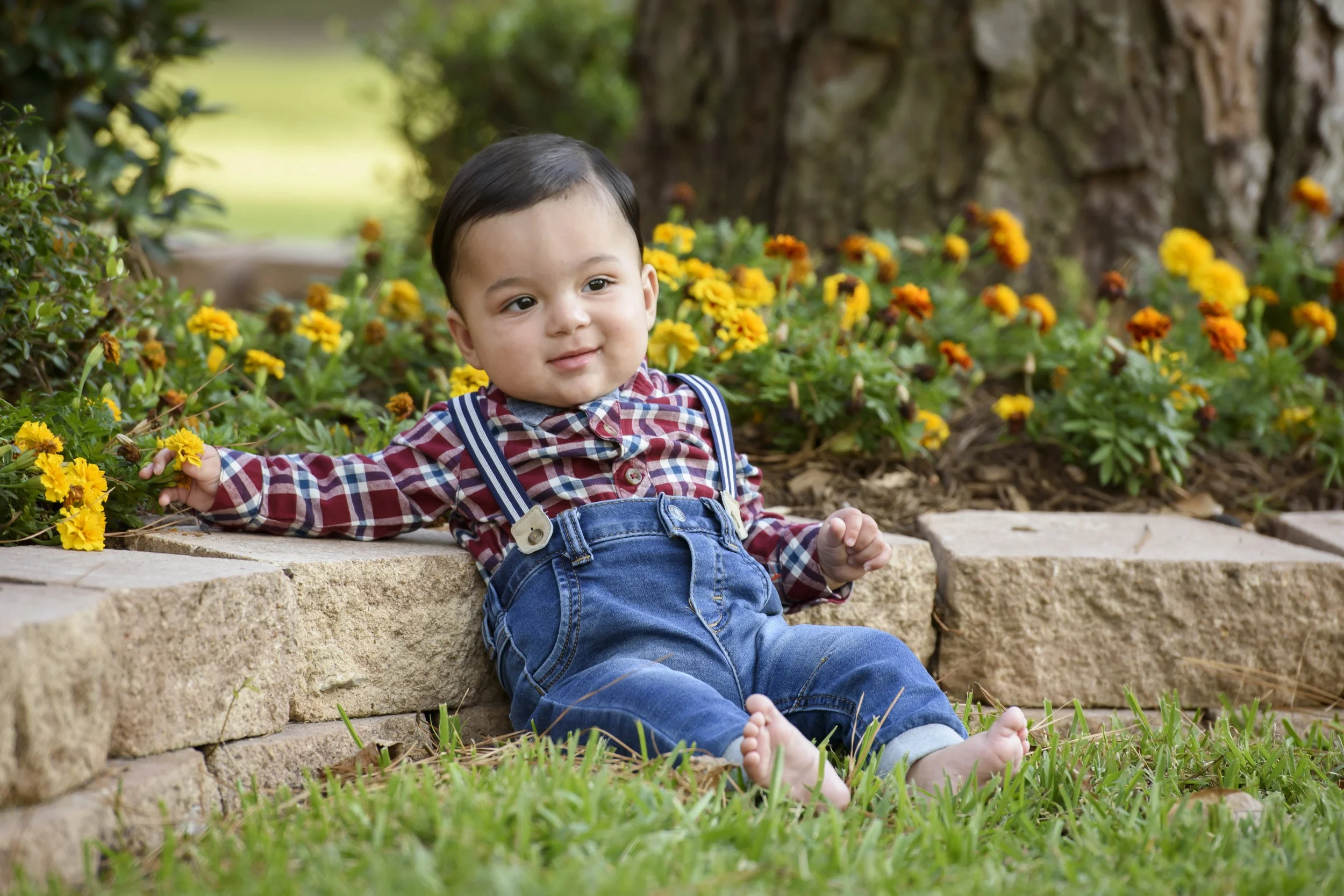 A baby boy with short black hair sitting on a stone step in front of yellow and orange flowers, with a large tree trunk behind him, outdoors in a garden or park.