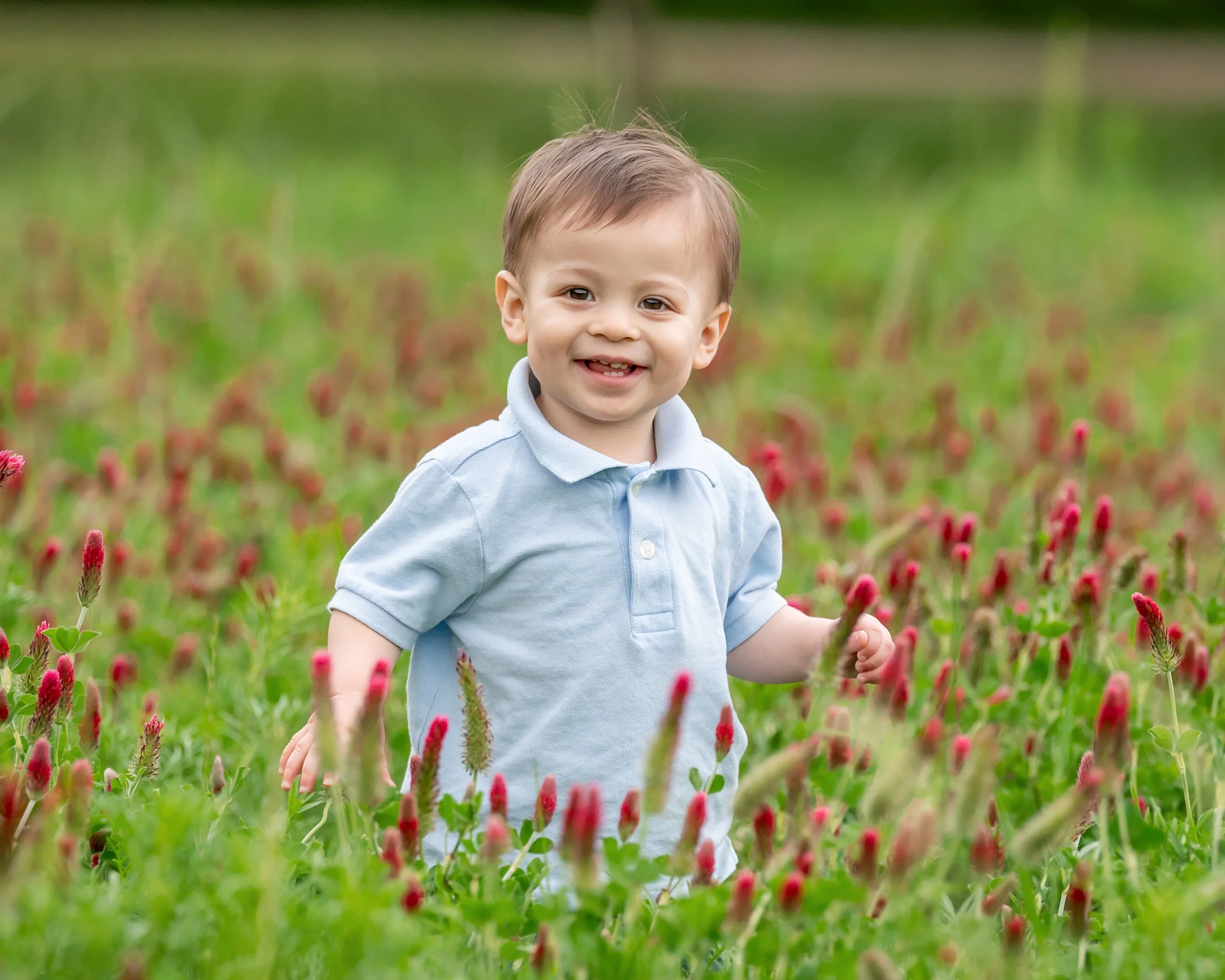 A young boy with brown hair and a light blue polo shirt smiling and looking at the camera while standing in a field of red and green plants.