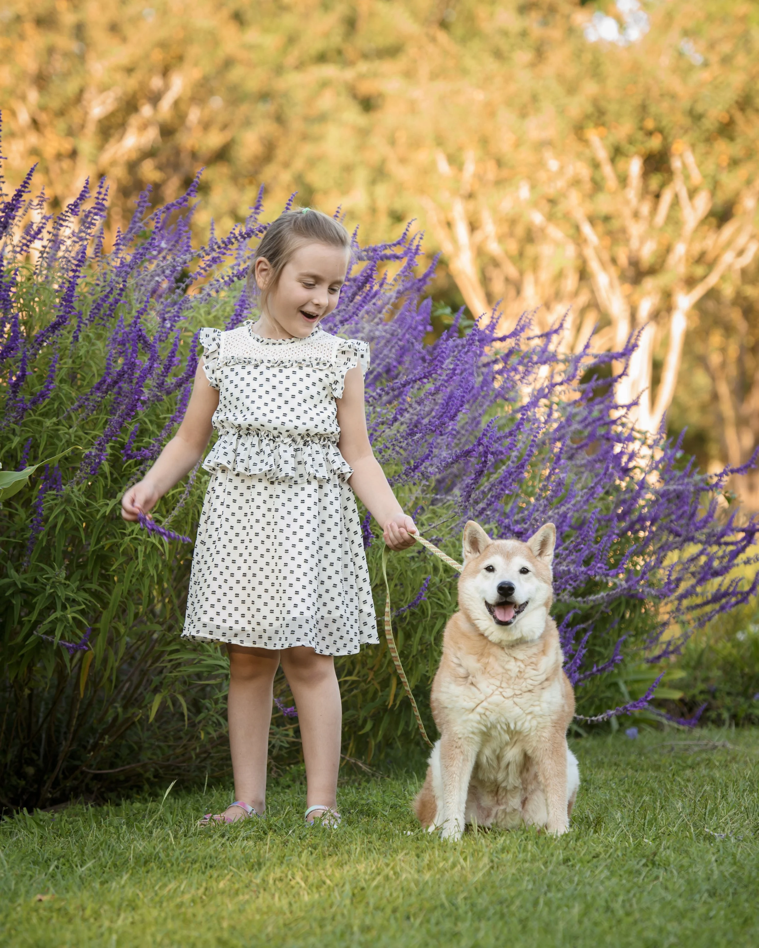 A young girl with brown hair tied back, wearing a black and white dress, smiling and holding a leash attached to a fluffy Siberian Husky dog, standing on a green lawn with purple flowers and trees in the background.