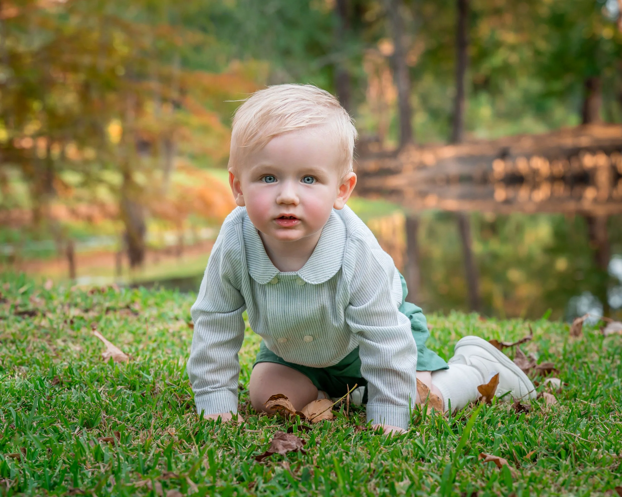 Young blonde-haired boy with blue eyes crawling on green grass in a park with trees in the background.