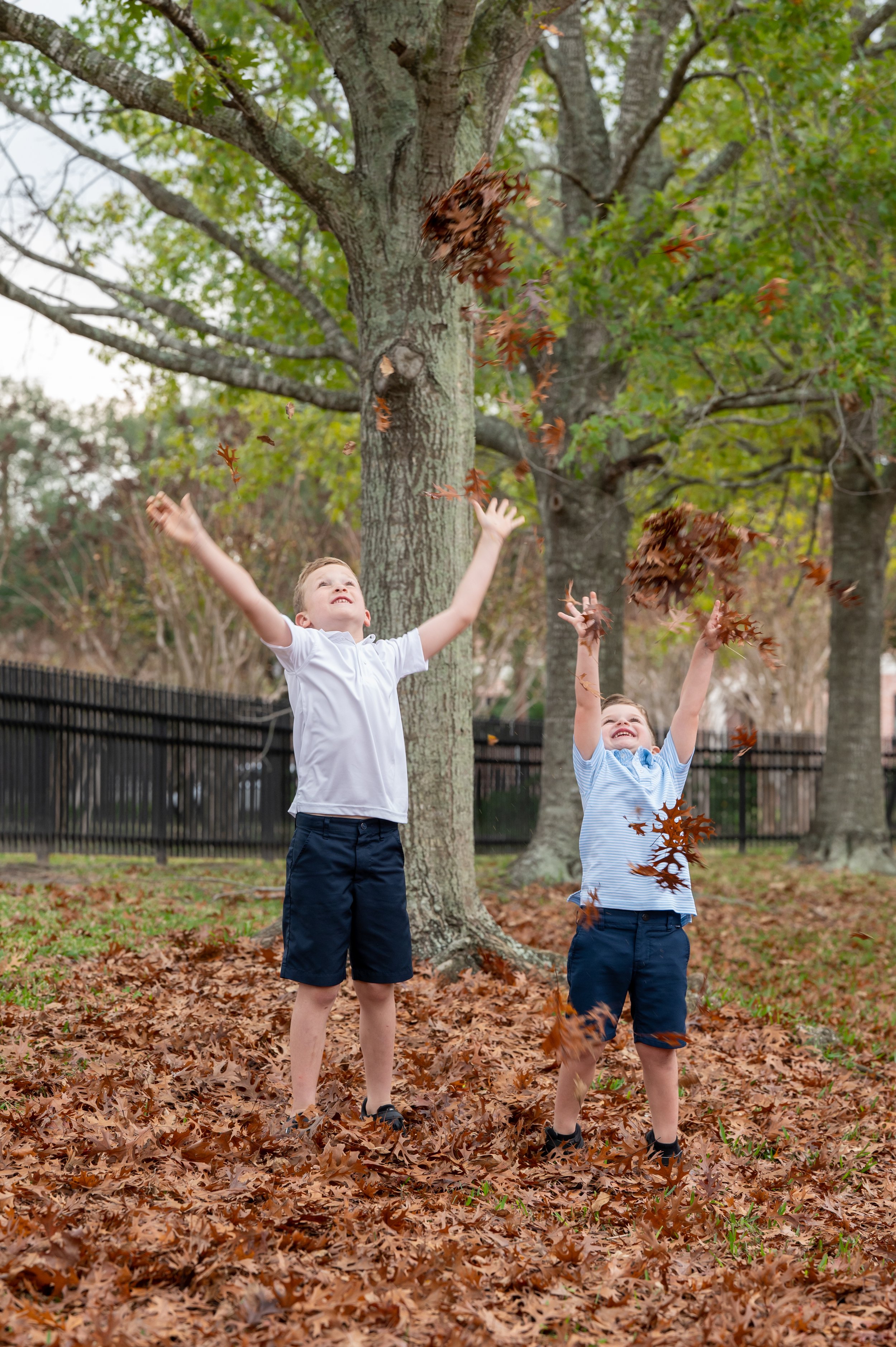 Two young boys playing in a park, throwing fallen leaves into the air near a large tree with green leaves, surrounded by a black fence.