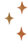 Four star-shaped decorations, two gold and two copper, on a black background.