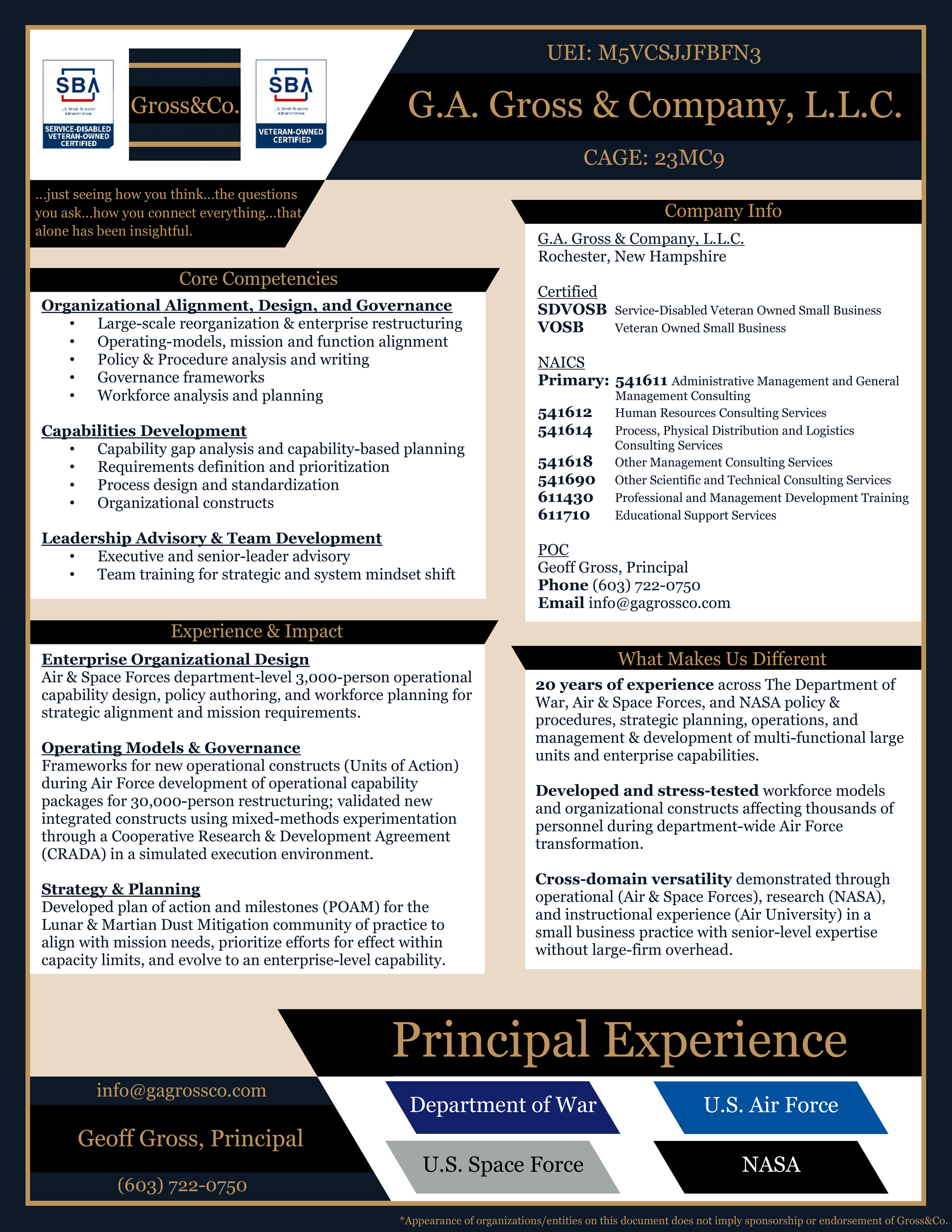 Government capabilities statement highlighting core competencies, company information, experience, strategic planning, leadership, and contact details.