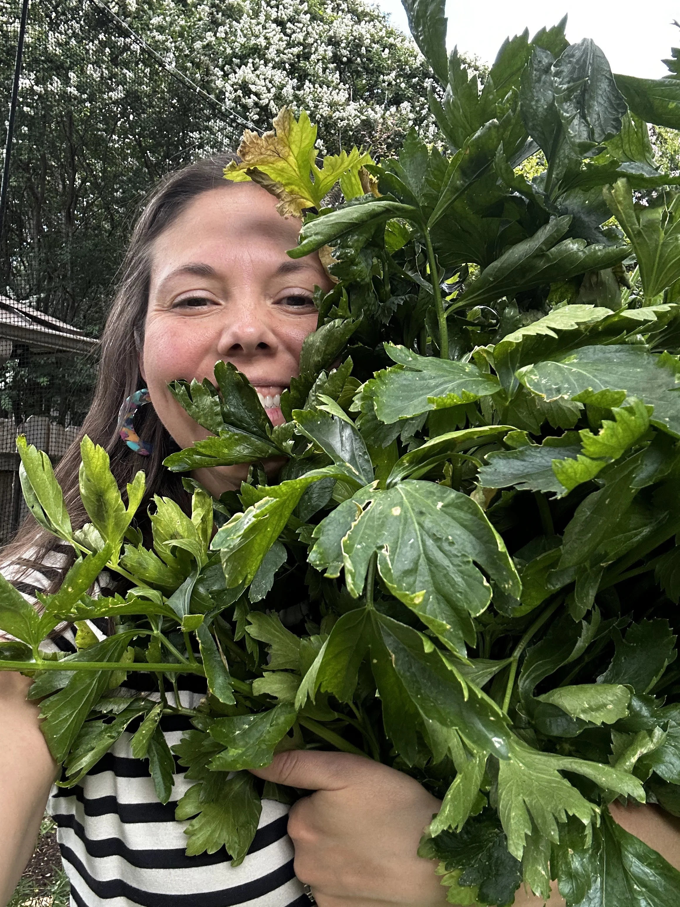 About Nourish Grove