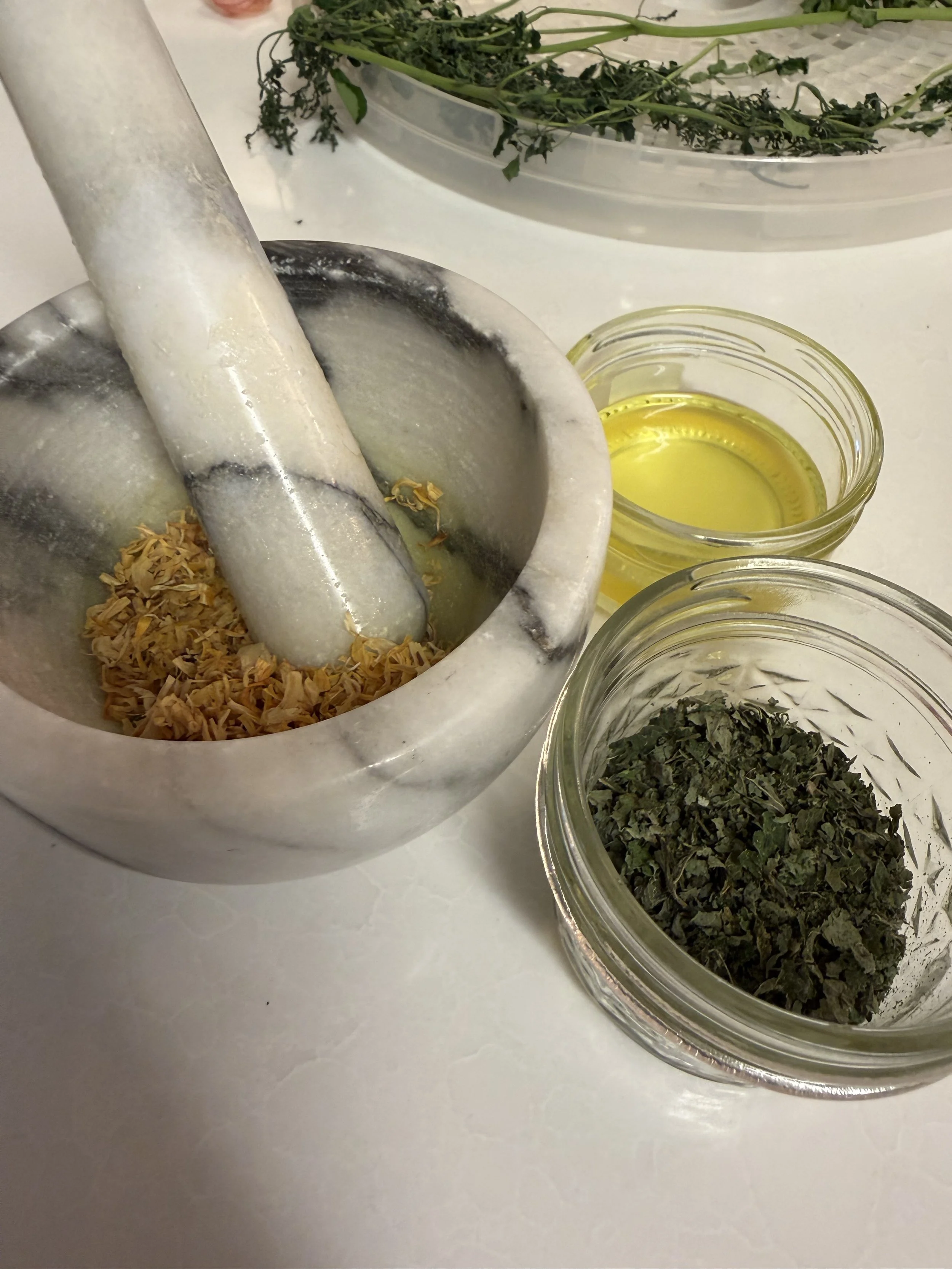 Citrus Grove Herbs.jpg