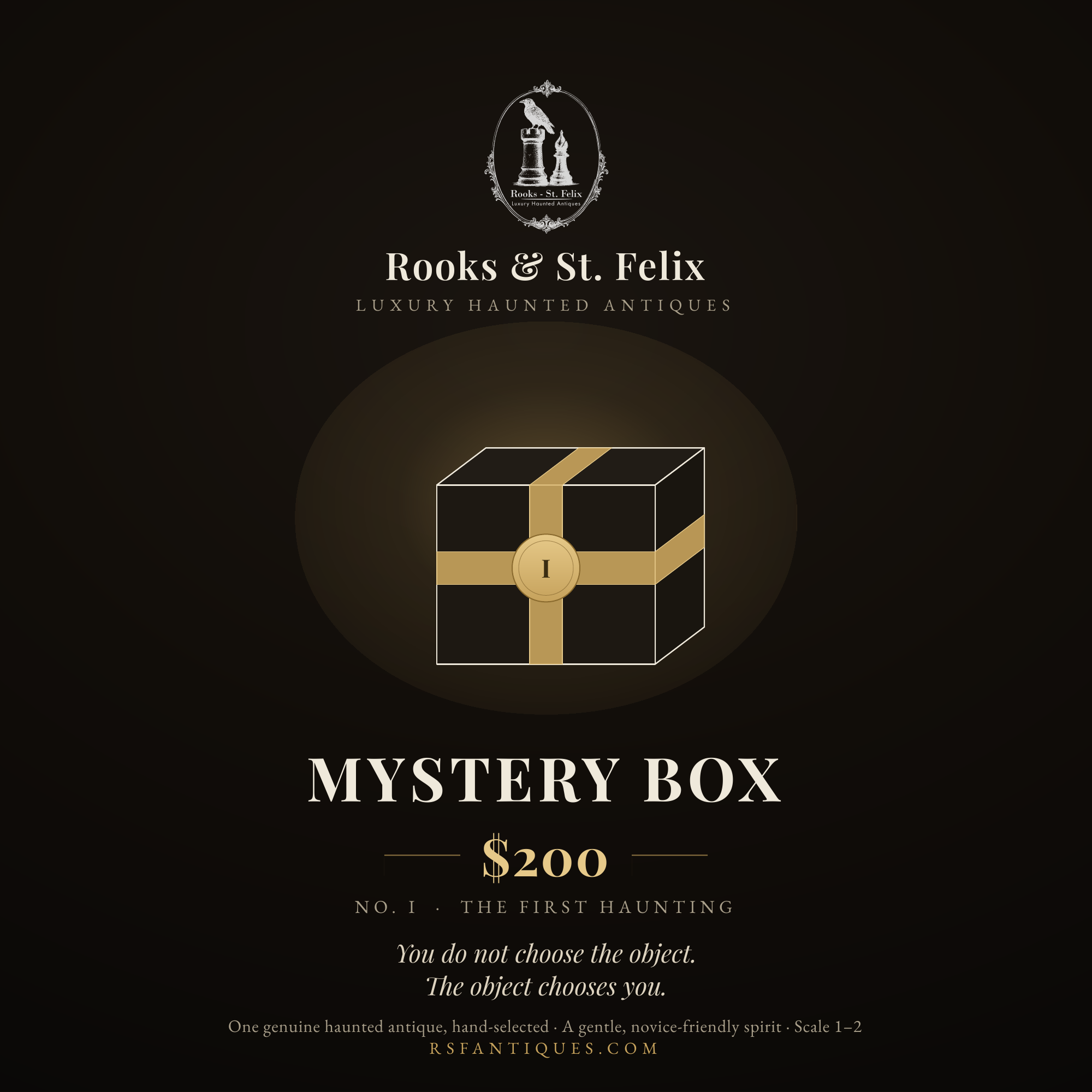 The First Haunting, a Sealed Rooks & St. Felix Mystery Box - Curated Haunted Antique, Oddity, and Collector Keepsakes