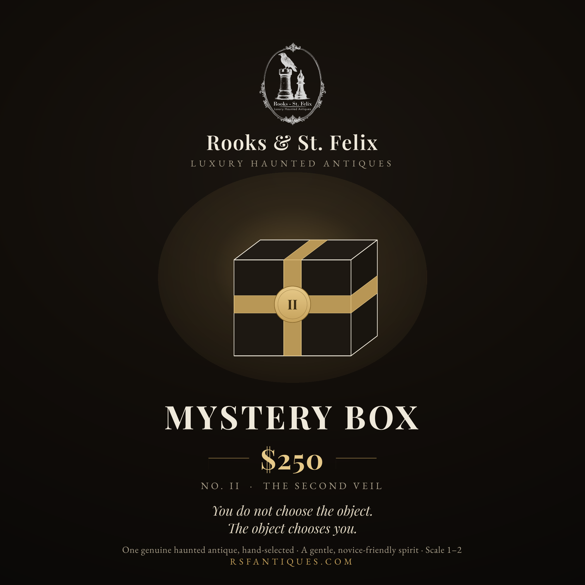 The Second Veil, a Rooks & St. Felix Haunted Mystery Box - Curated Antique Oddities and Paranormal Collector Keepsakes