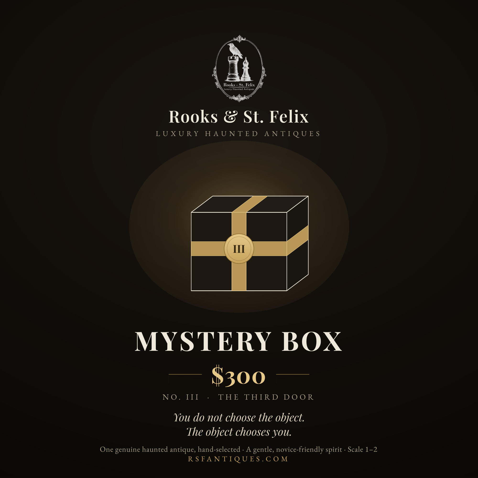 The Third Door, a Rooks & St. Felix Haunted Mystery Box - Curated Antique Oddities and Paranormal Collector Keepsakes
