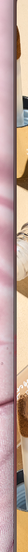 Captura de pantalla 2026-05-20 a la(s) 3.29.07 p.m..png