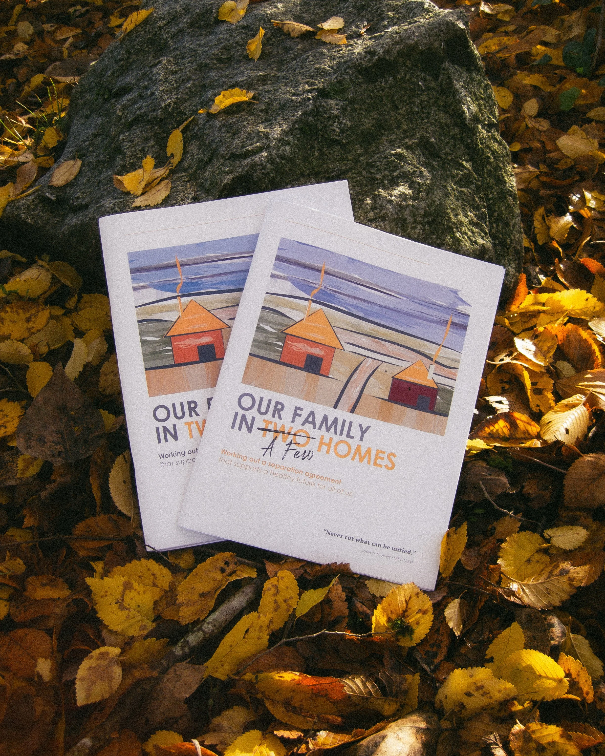 Two flyers titled 'Our Family in Two Homes' resting on yellow and brown autumn leaves, with a large moss-covered rock in the background.