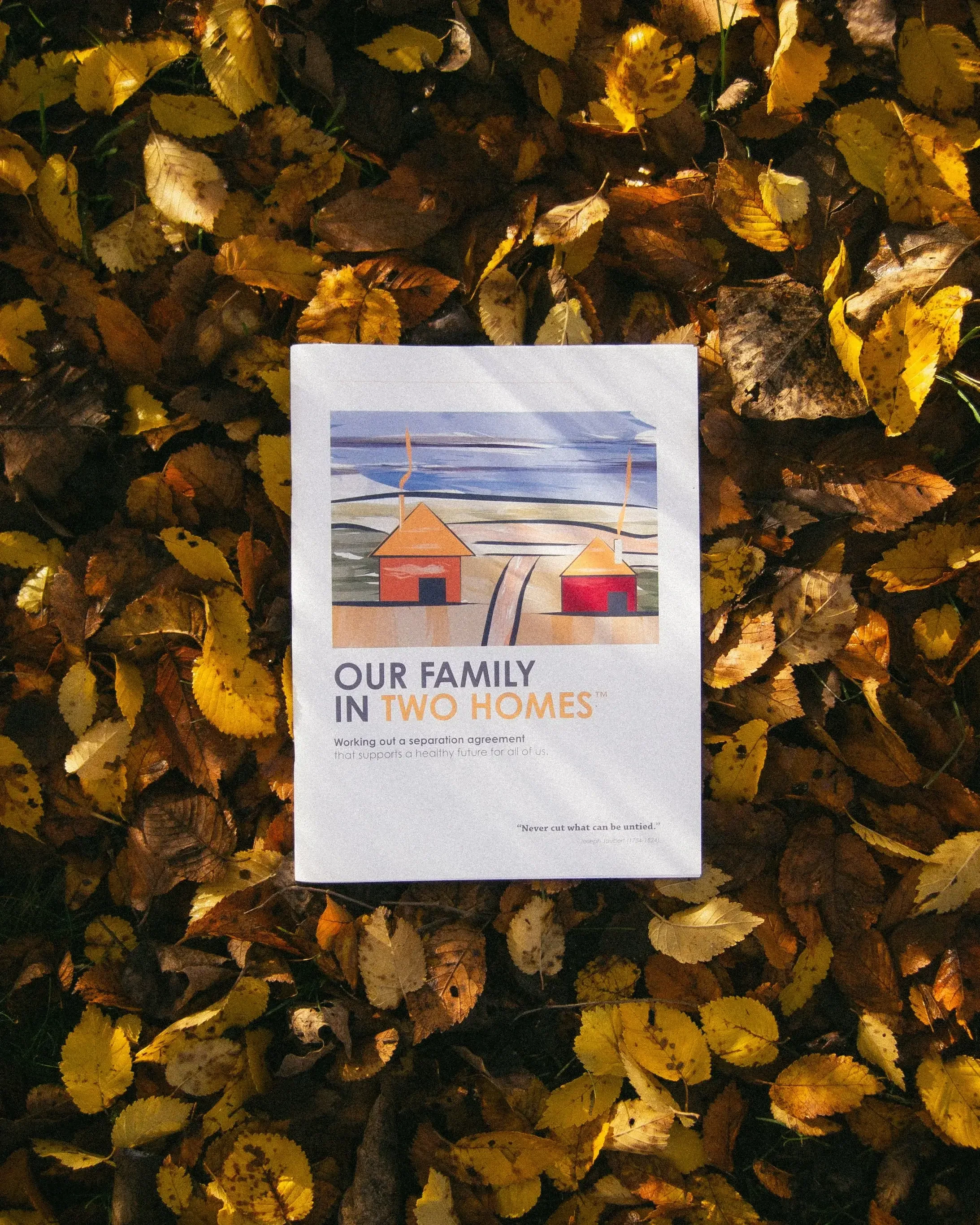 A poster titled 'Our Family in Two Homes' is placed on a bed of fallen autumn leaves that are yellow, brown, and gold in color.