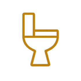 A cartoon illustration of a toilet with a green seat, yellow bowl, and brown base, viewed from the side.