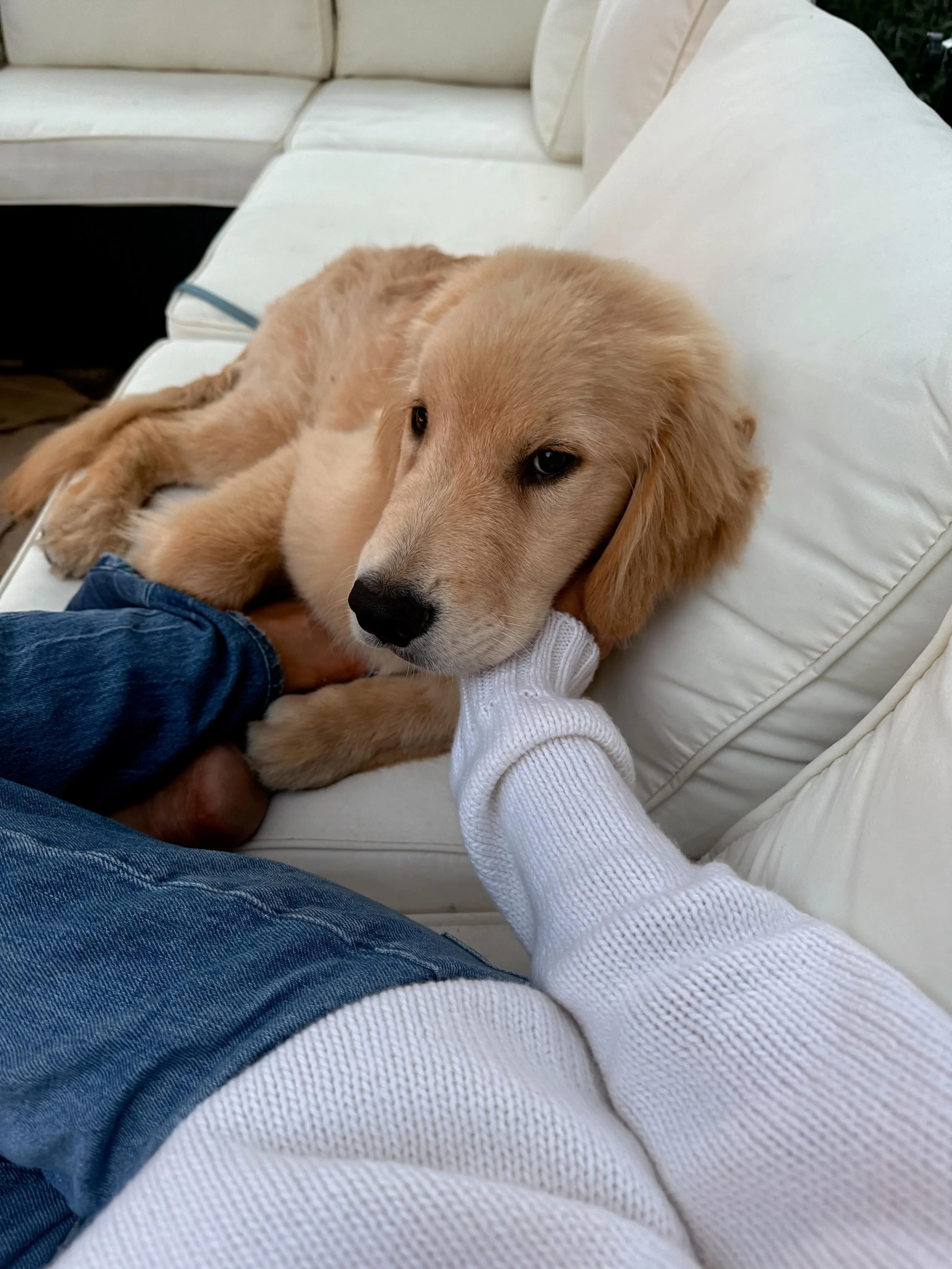 Life recently full of sweet little moments. Puppy snuggles, boat time, hot dogs&mdash; lucky me ✨
