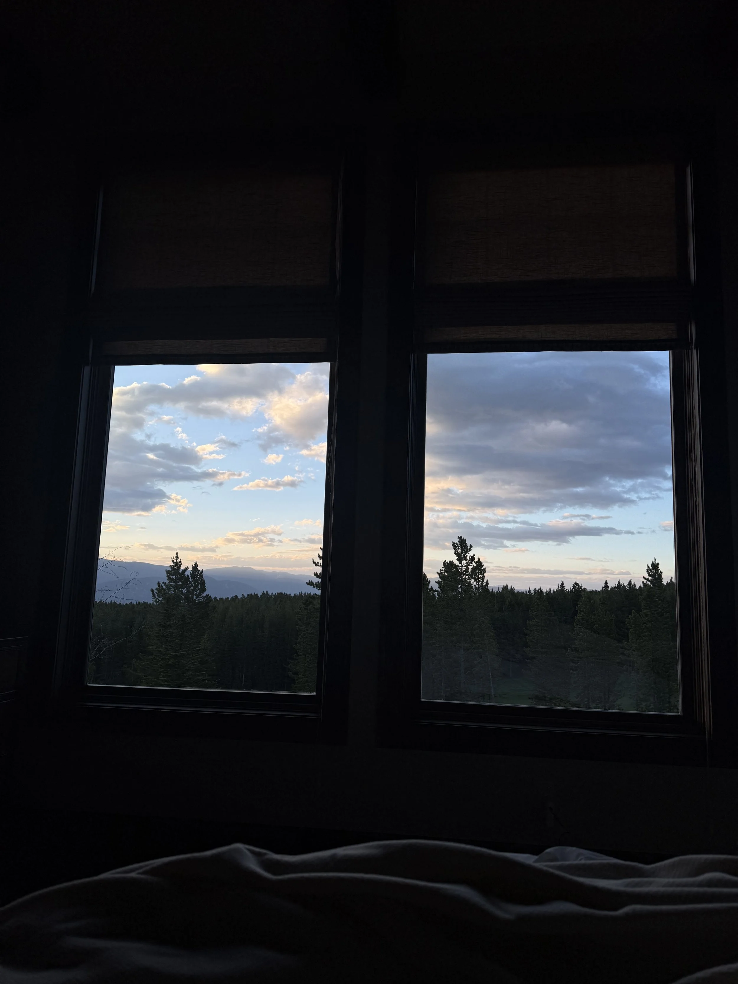 IMG_6236.jpeg