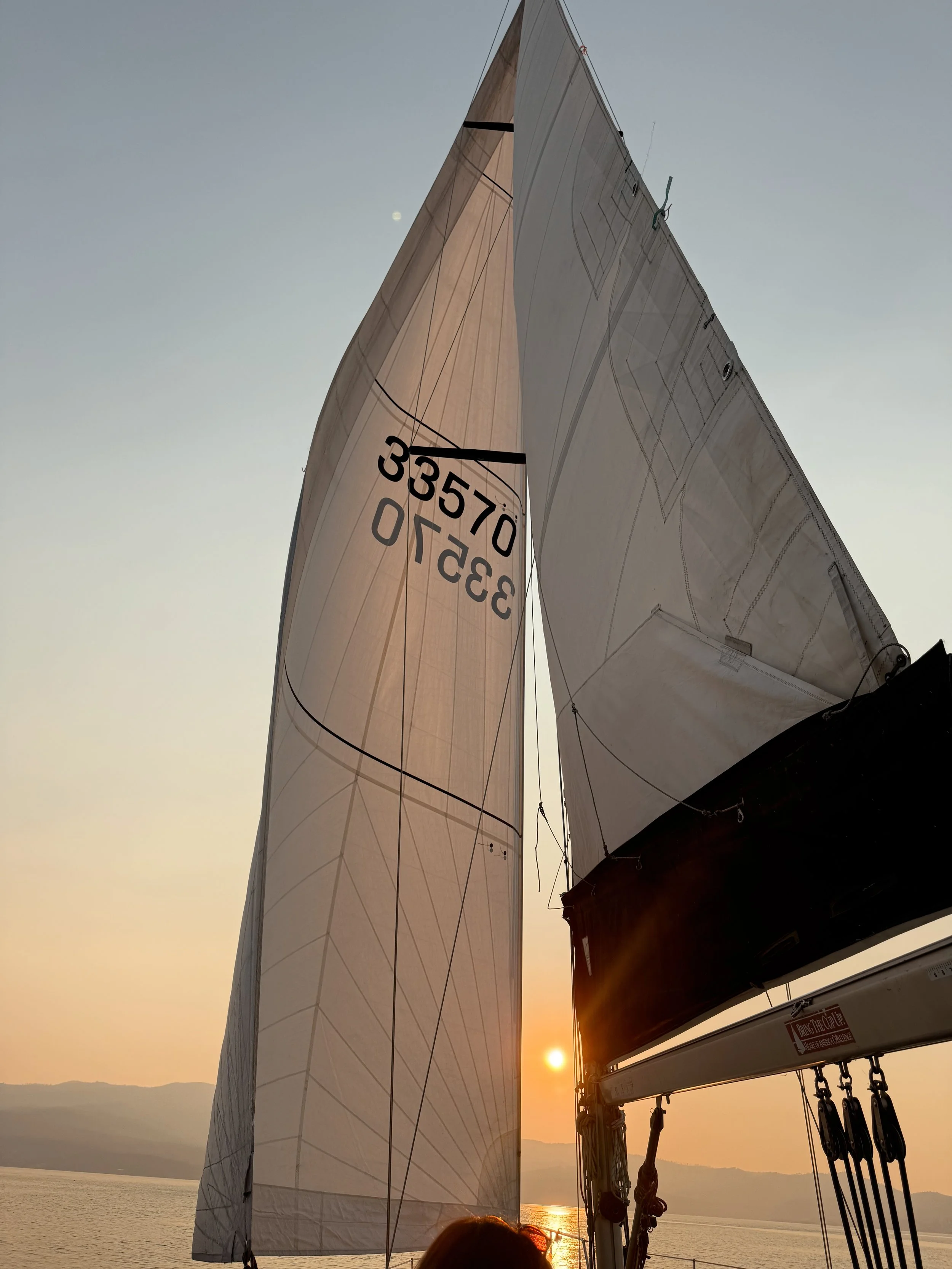 Tezza-5559.JPG