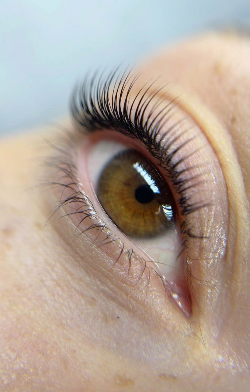 Lashlifting Schulung