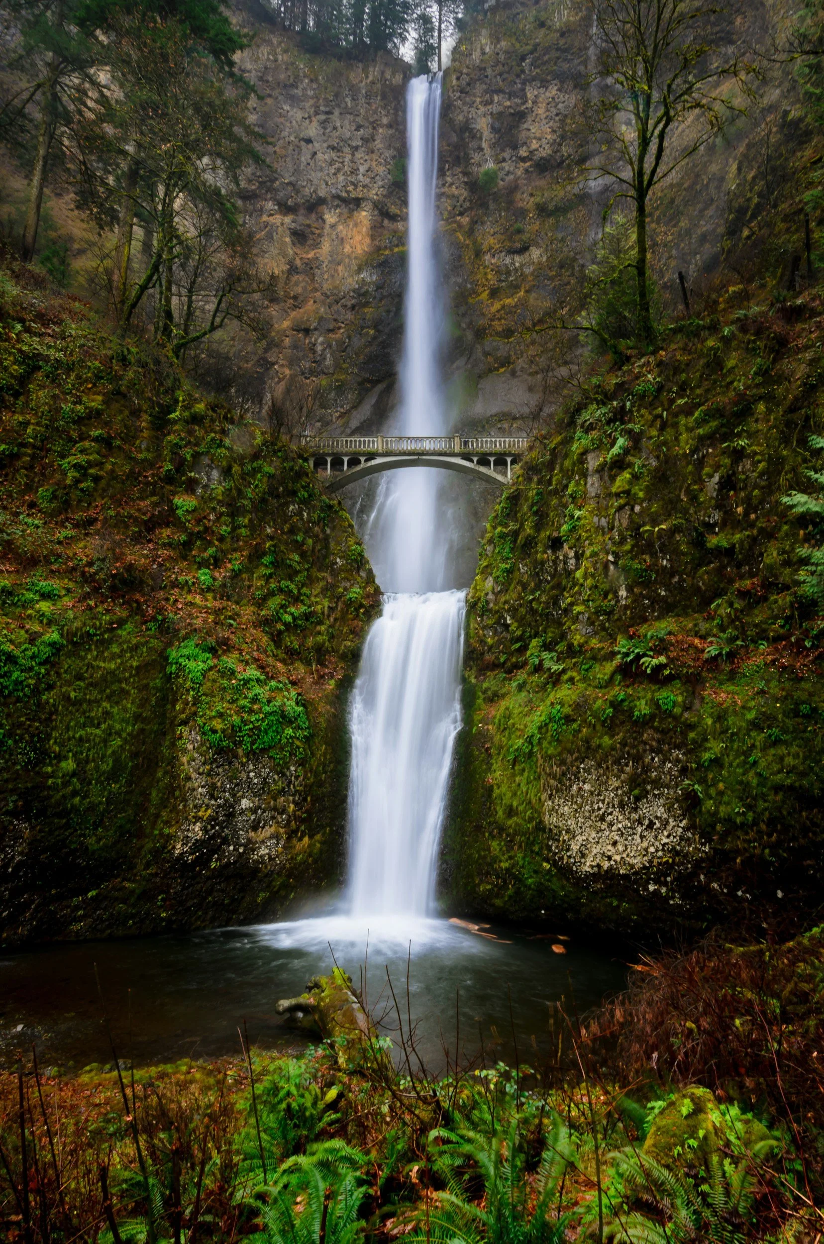 Trauma-informed therapy for Anxiety in Portland and throughout Oregon and Washington  via Telehealth.