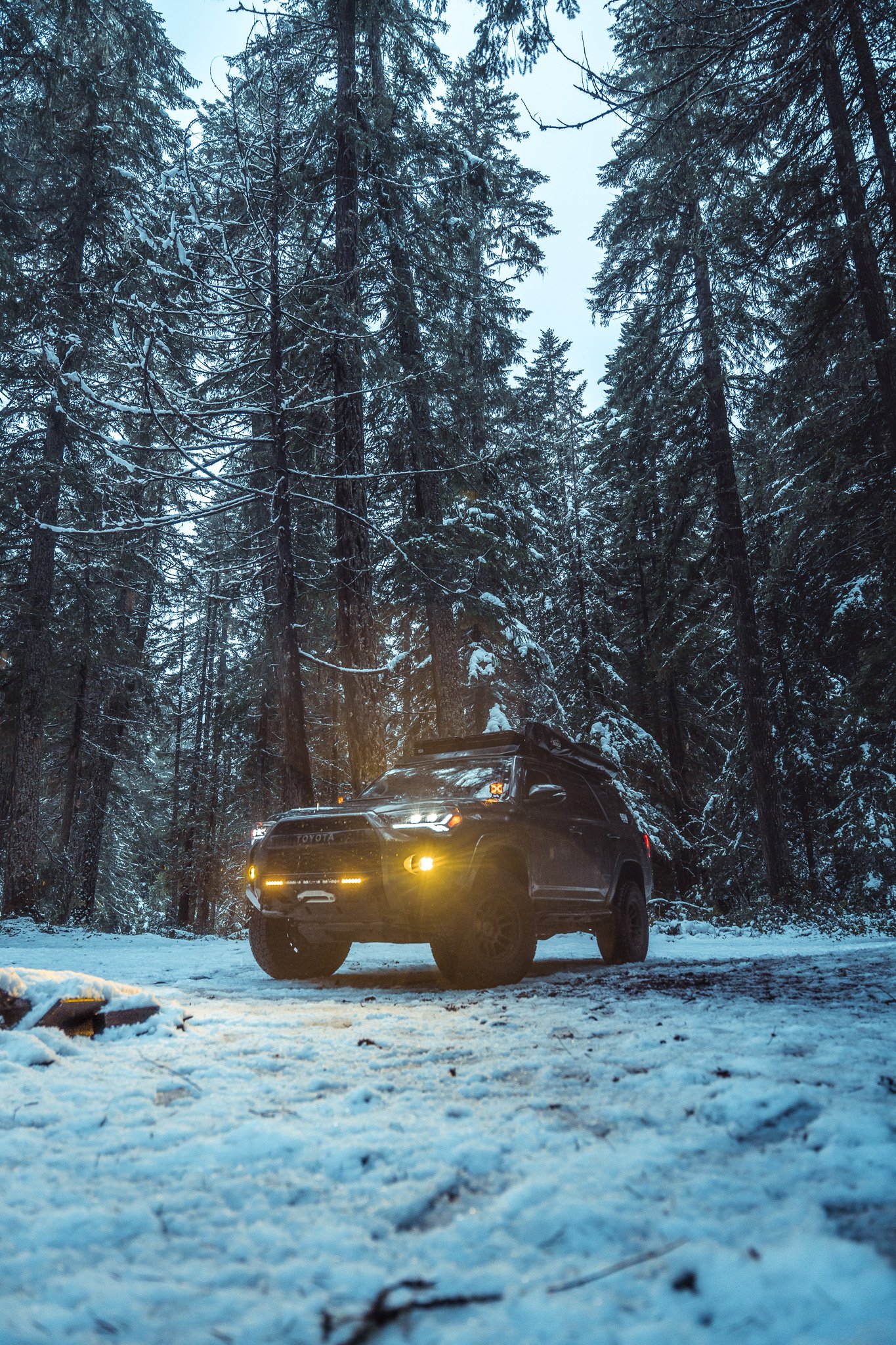 A black SUV with its headlights on driving on a snow-covered forest road surrounded by tall pine trees with snow on their branches, during dusk.