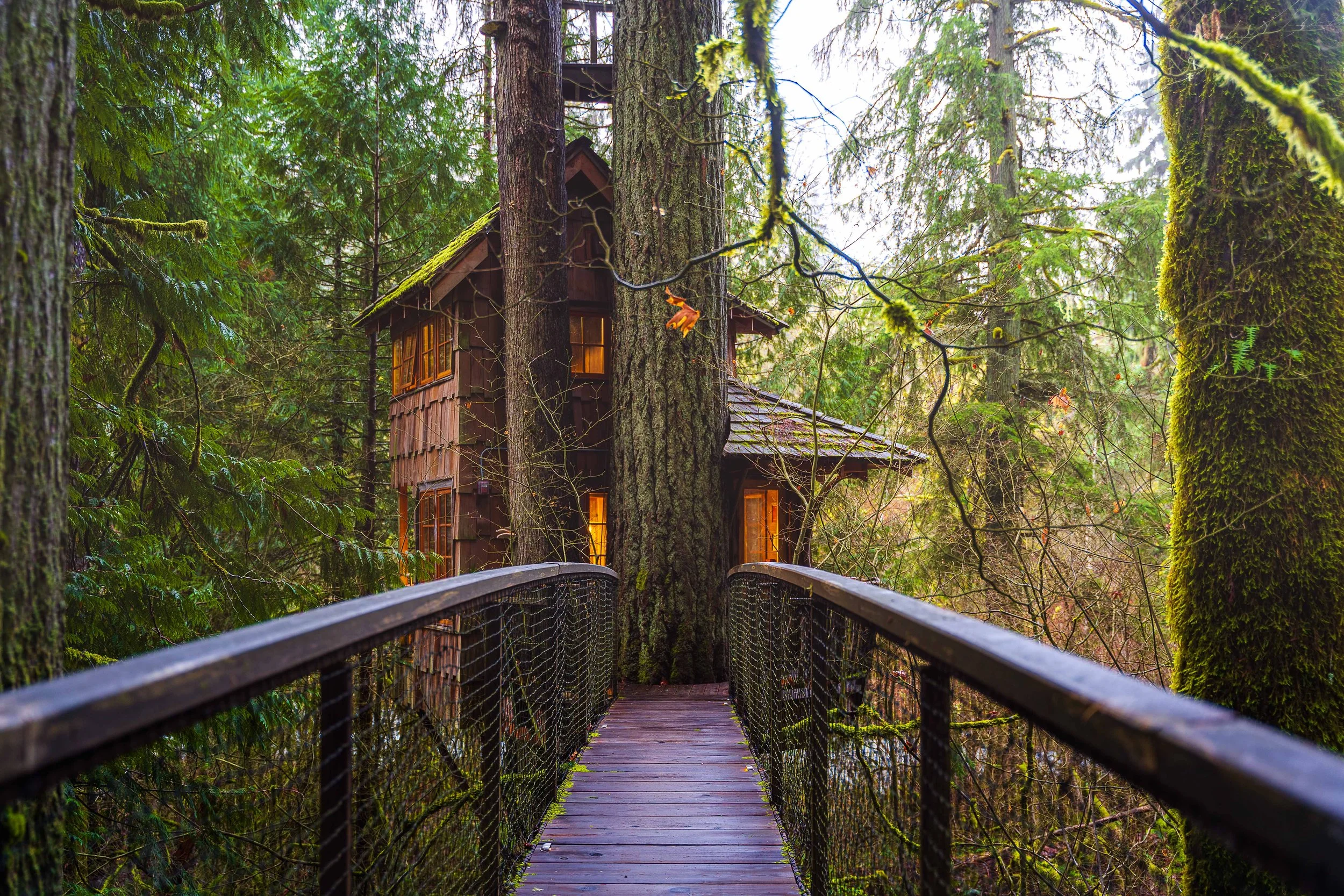 Treehouse Point