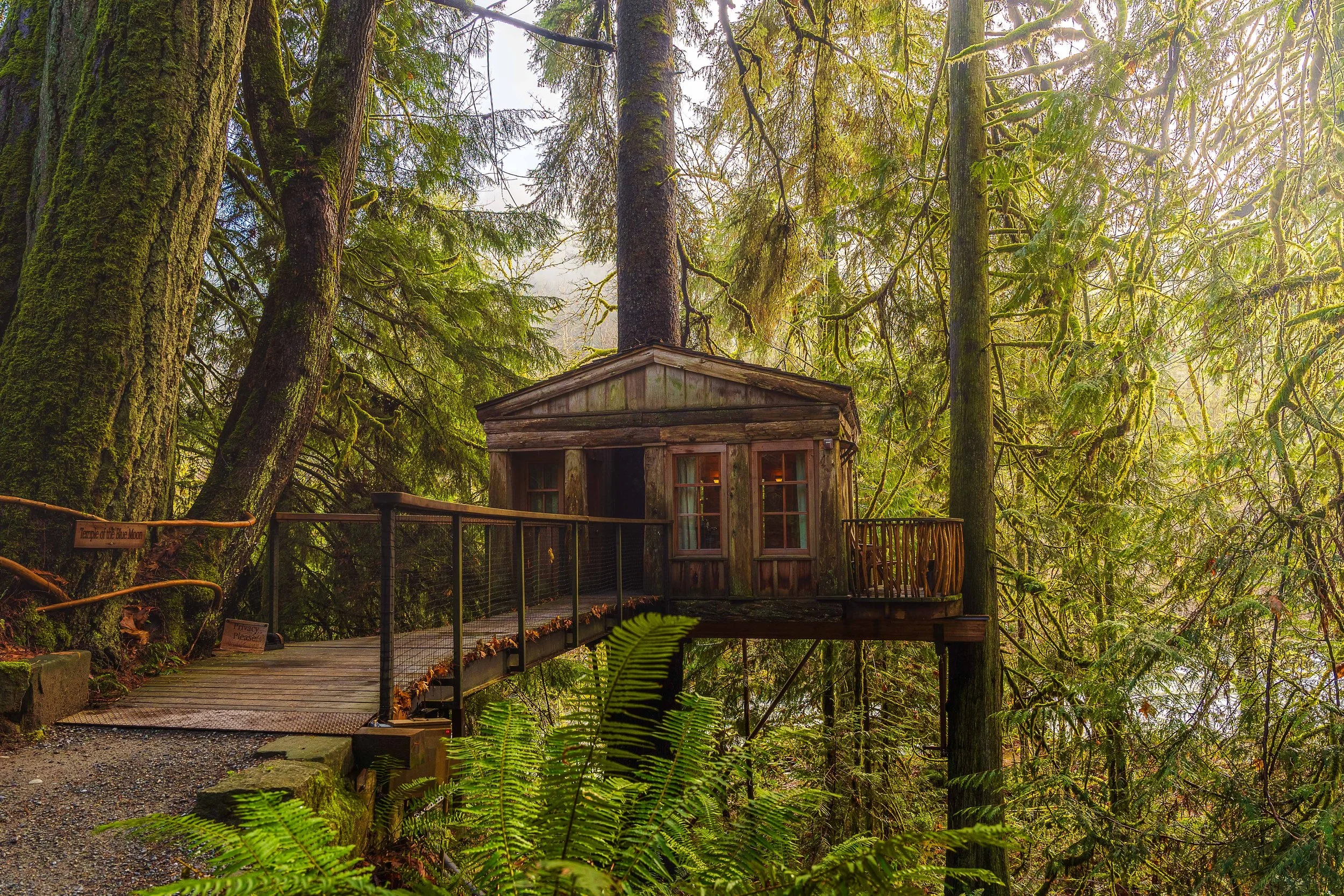 TIM08976-HDR.jpg