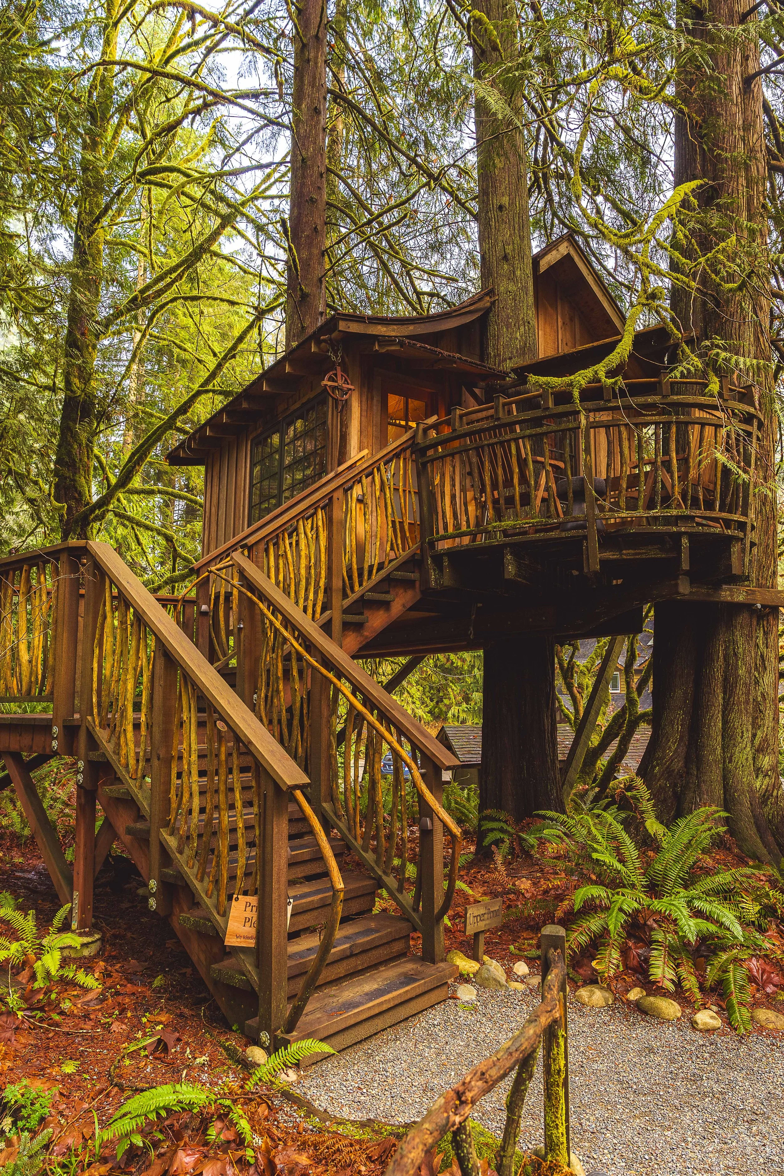 TIM08964-HDR.jpg