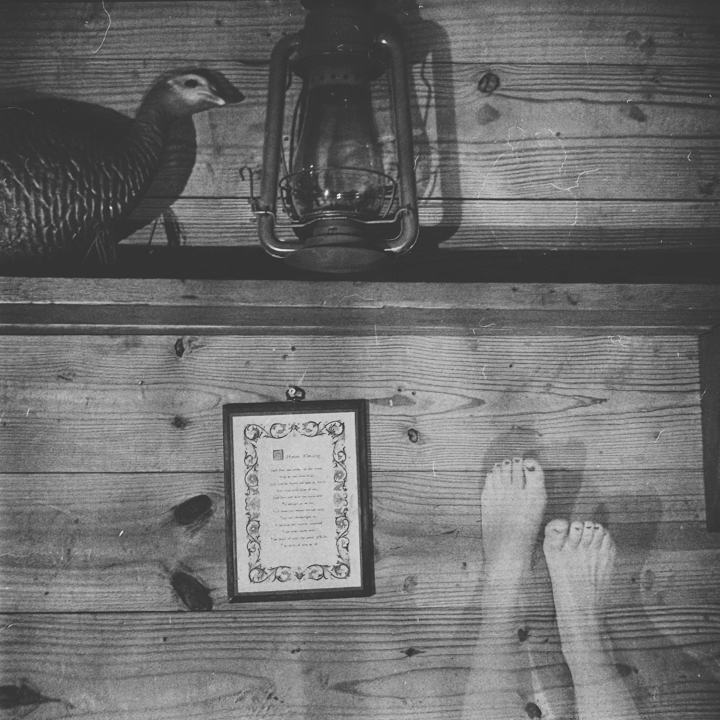 Black and white photo of a wooden wall with a framed piece of artwork and a long, narrow decorative mirror in the center. A small animal, possibly a ferret or similar, is seen on the floor near the bottom of the image.