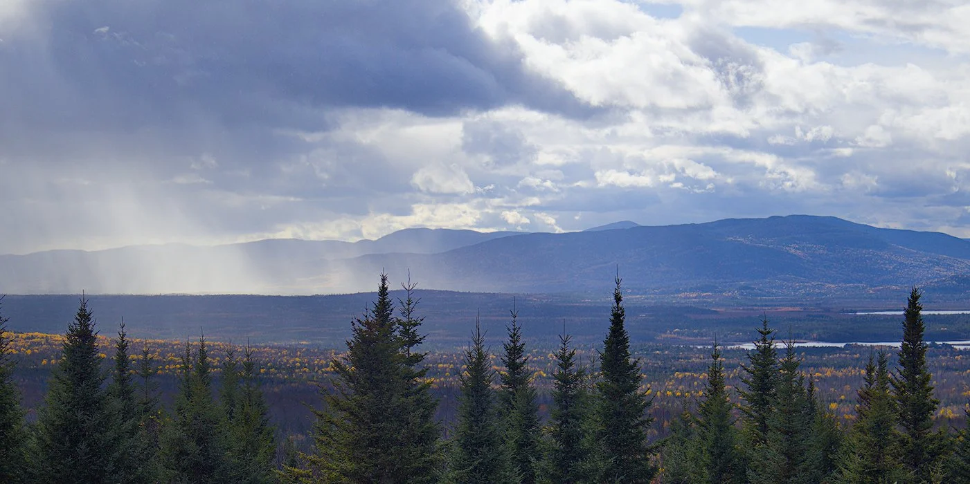 Rainstorm over the Maine woods