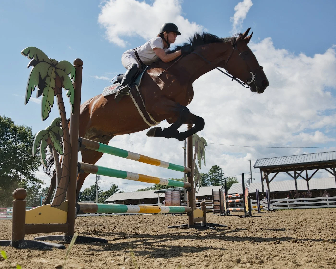 Horse making final 1.2m jump