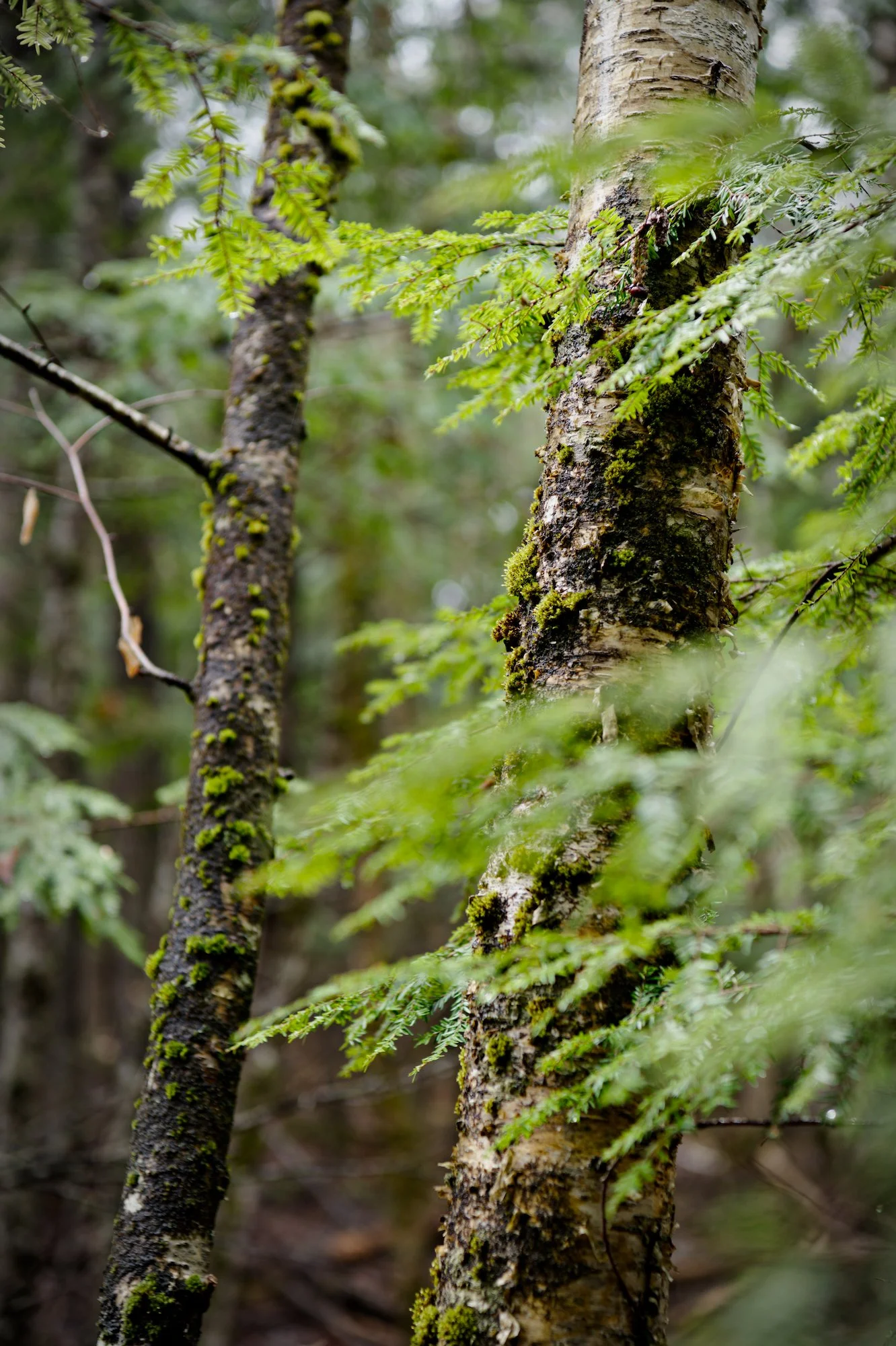 _DSC2082.jpg