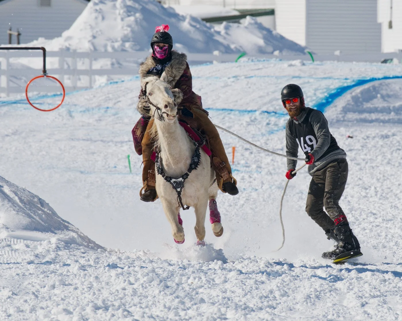 Skijoring team on approach to first ring