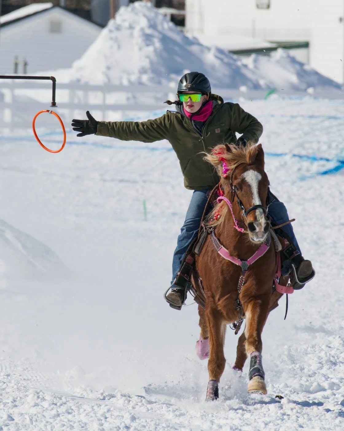 Narrow miss by skijoring team