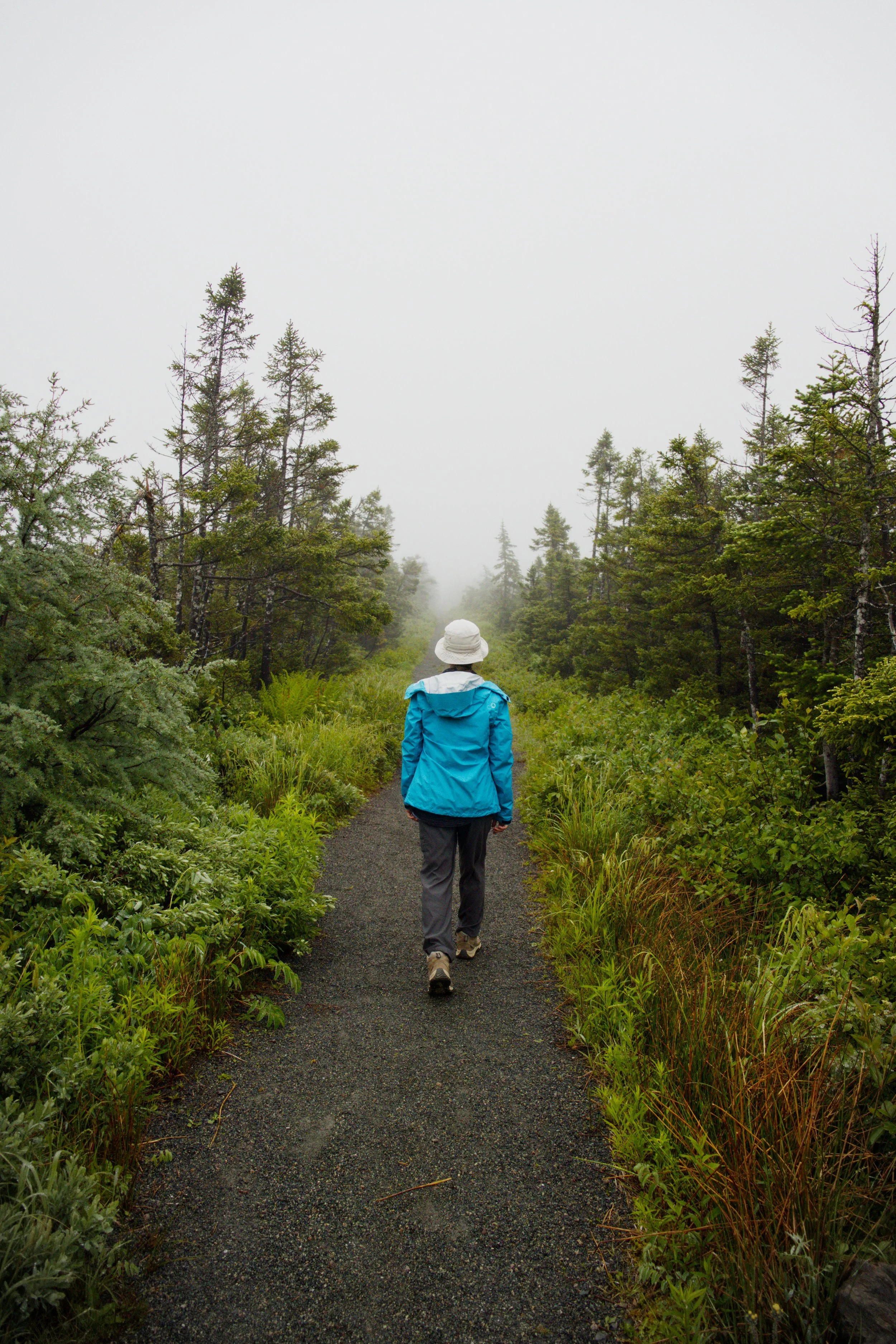 Into the peat bog