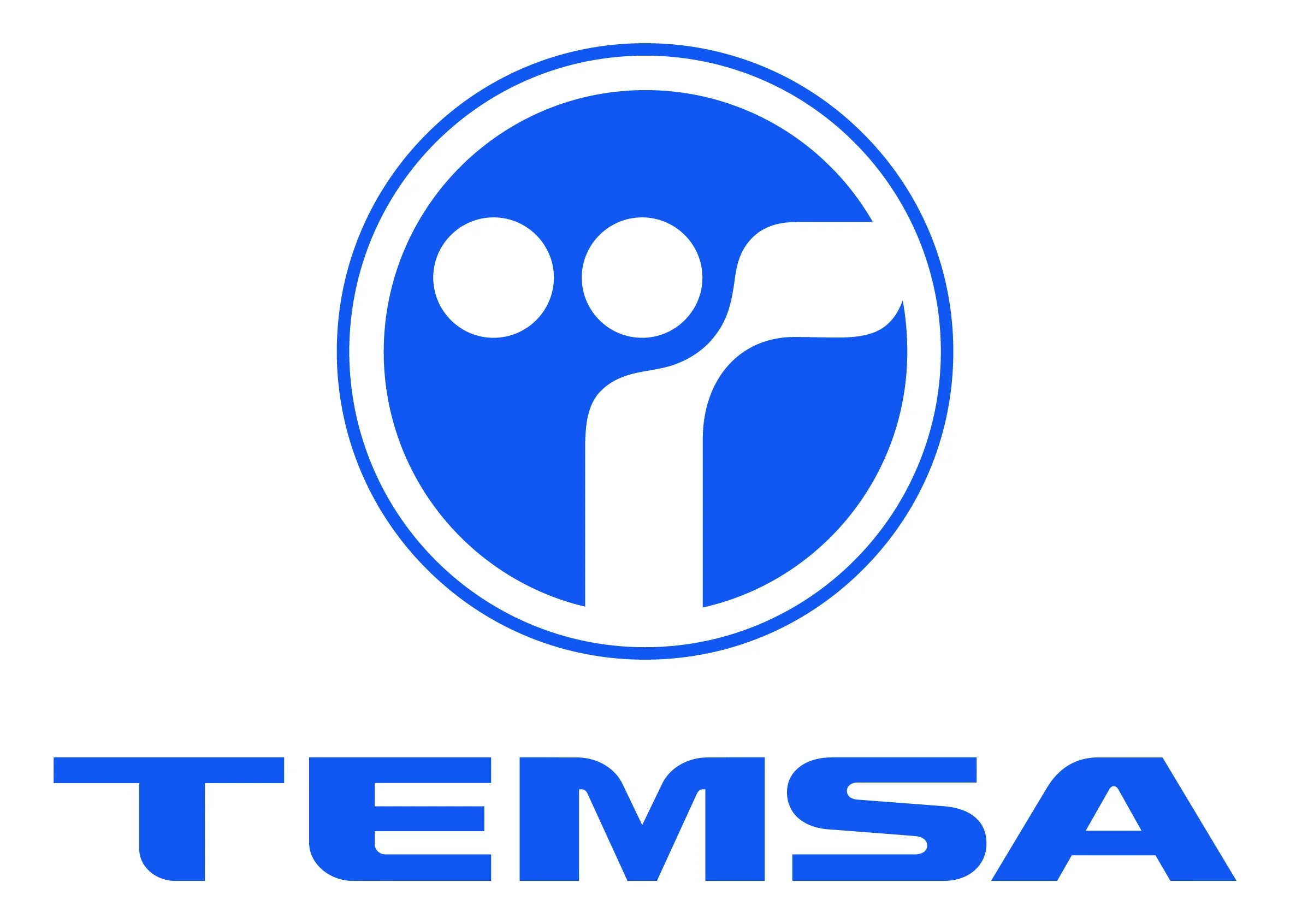 temsa_guncel_logo_01.jpg