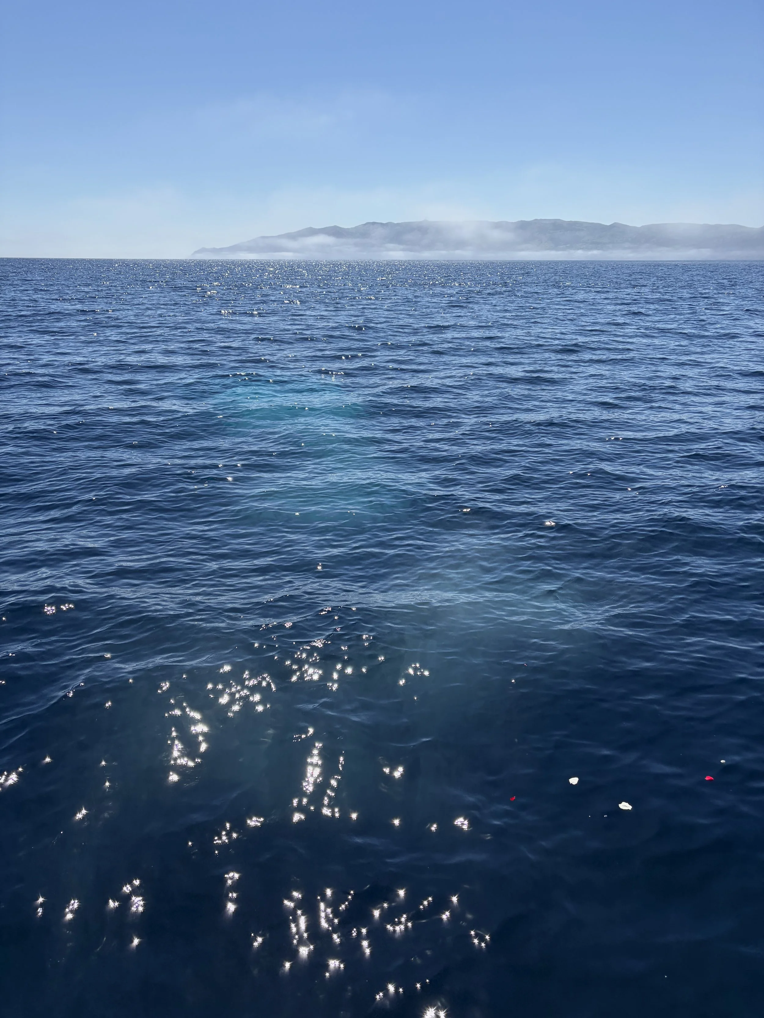 Calm Pacific Ocean waters used for burial at sea services in California