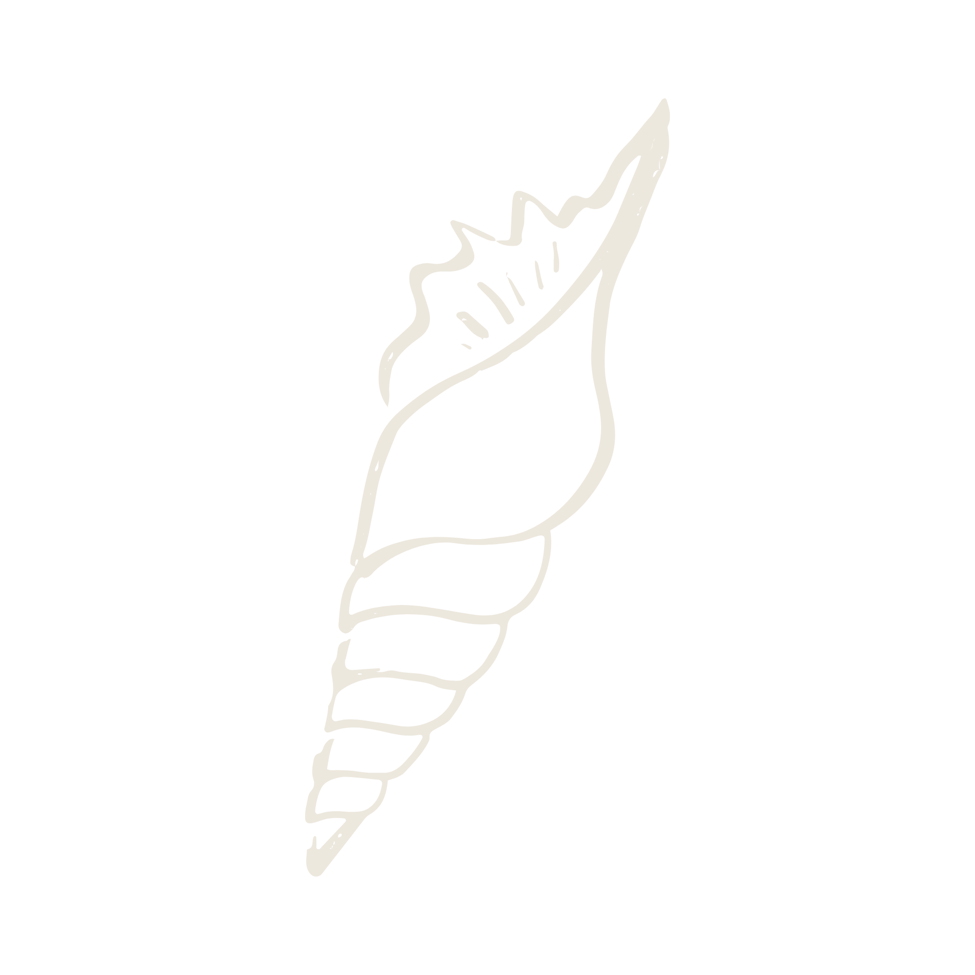 compassionate burial at sea services