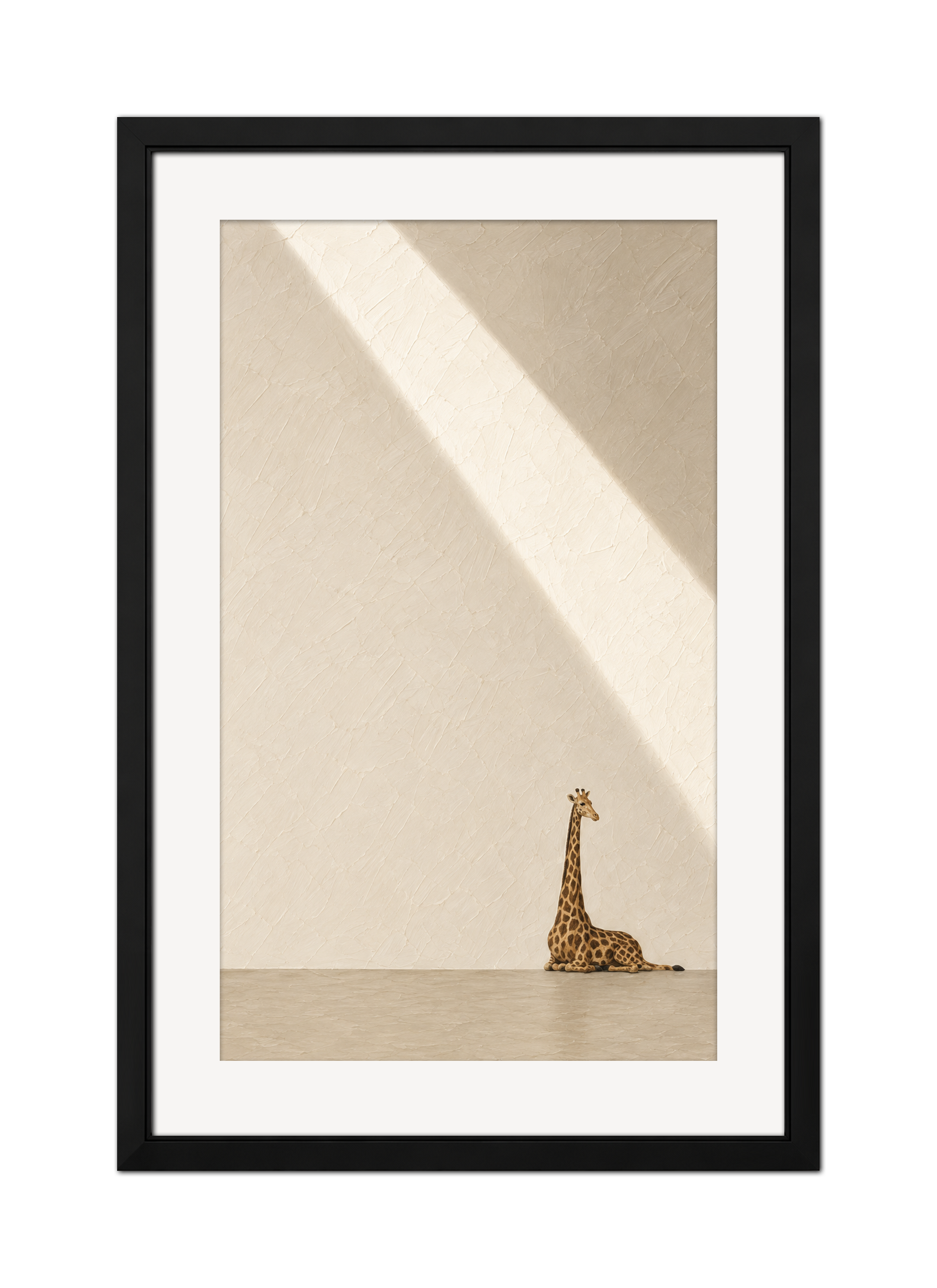 IN THE LIGHT