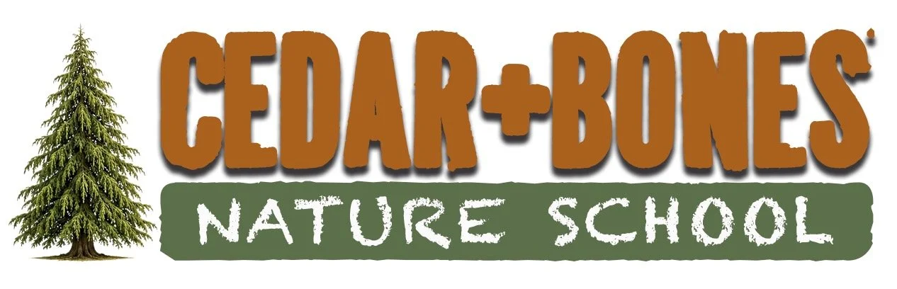 Cedar &amp; Bones Nature School