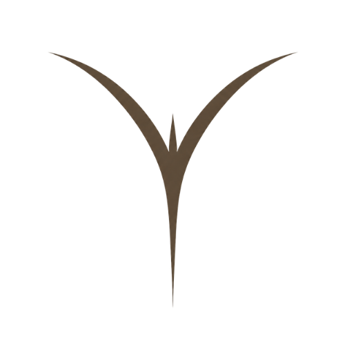 TRIDENTATA