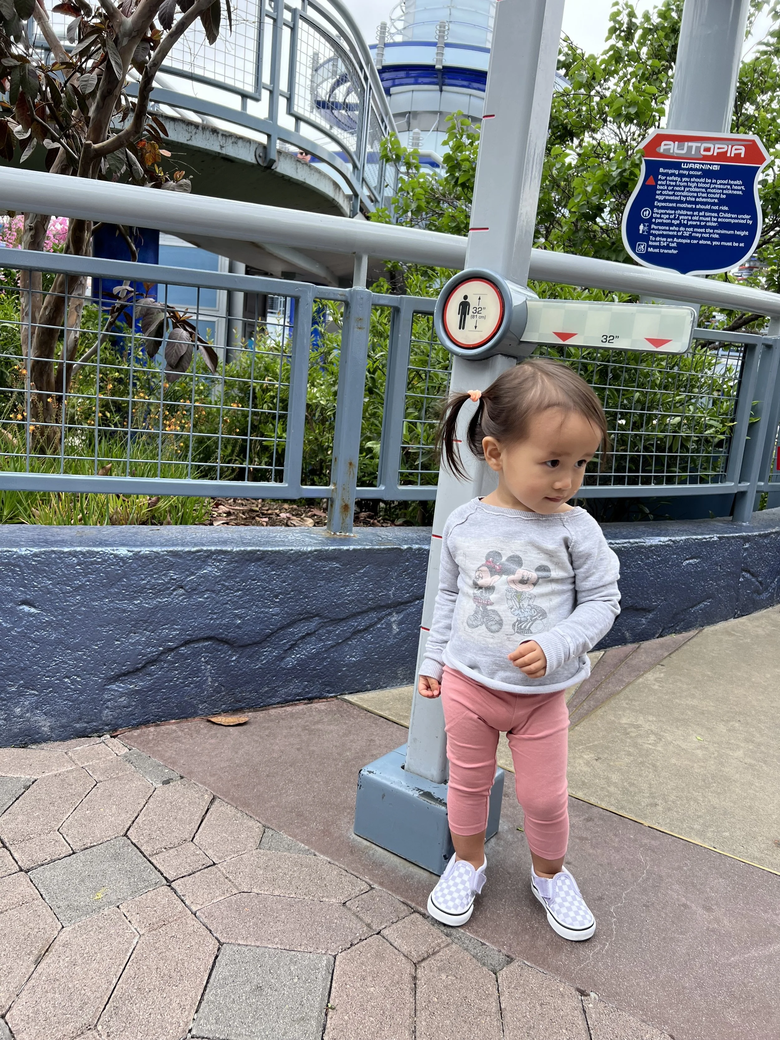 My Disney Toddler Picks for Rides! 