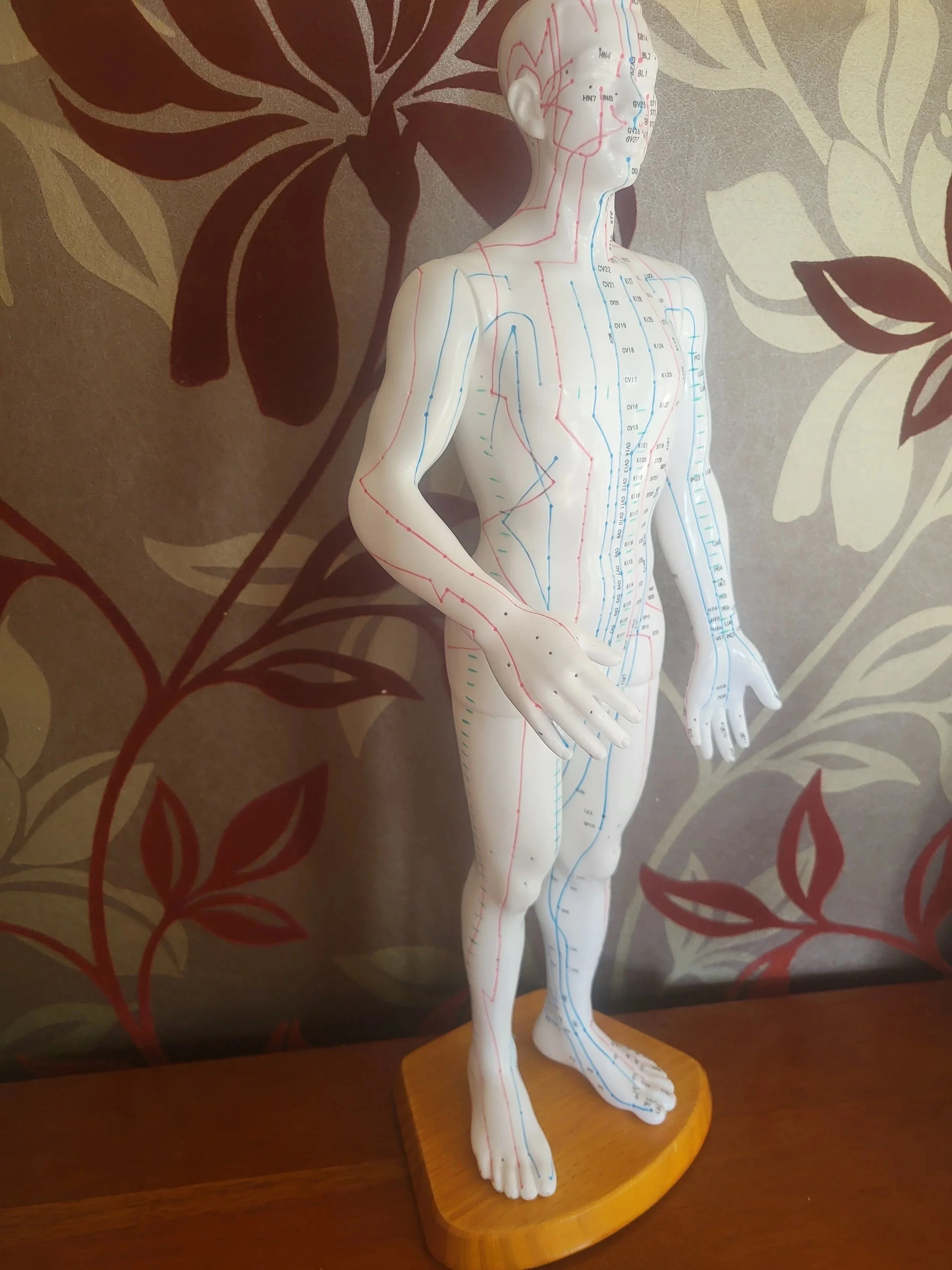 An anatomical model of a human figure with acupuncture meridian lines and points, standing on a wooden base against a patterned wall with leaf motifs.