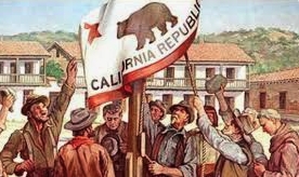 5 W’s of the Bear Revolt