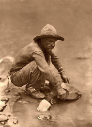 Definitions for Gold Rush