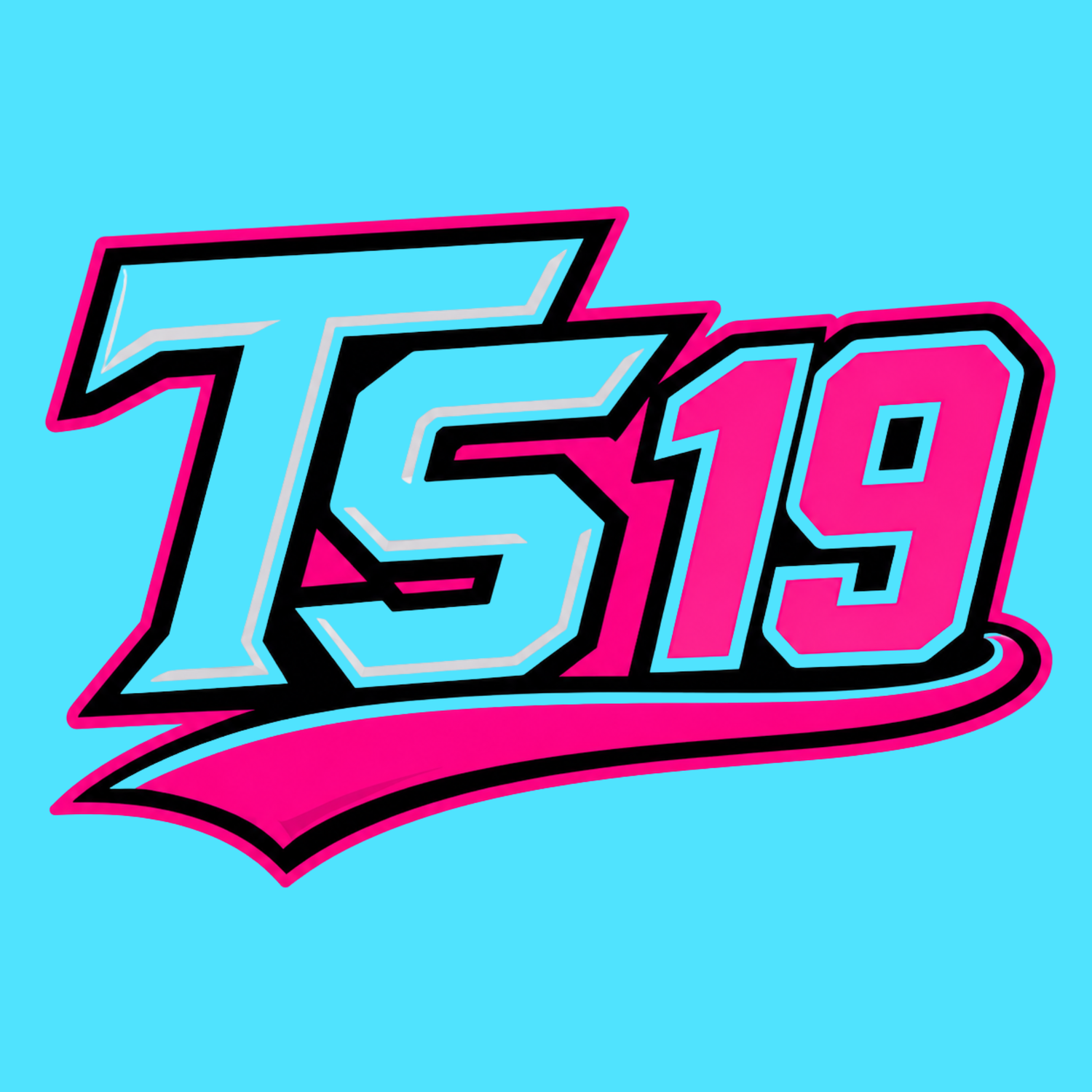TS 19