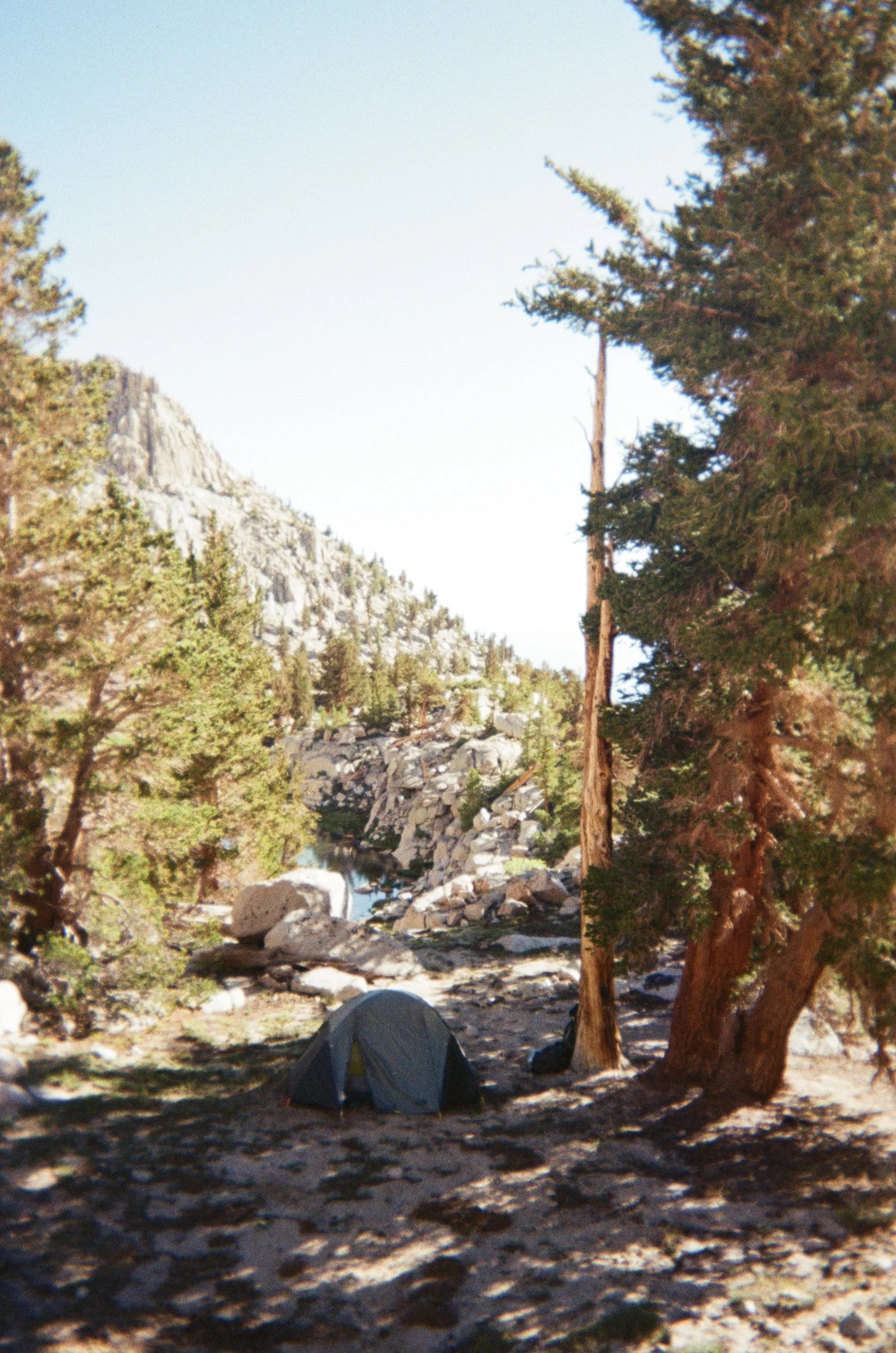 Backpacking in the southern Sierra going to Meyson Lake. A camping tent set up on rocky ground beside a large tree in a mountainous area with trees and rocks in the background.