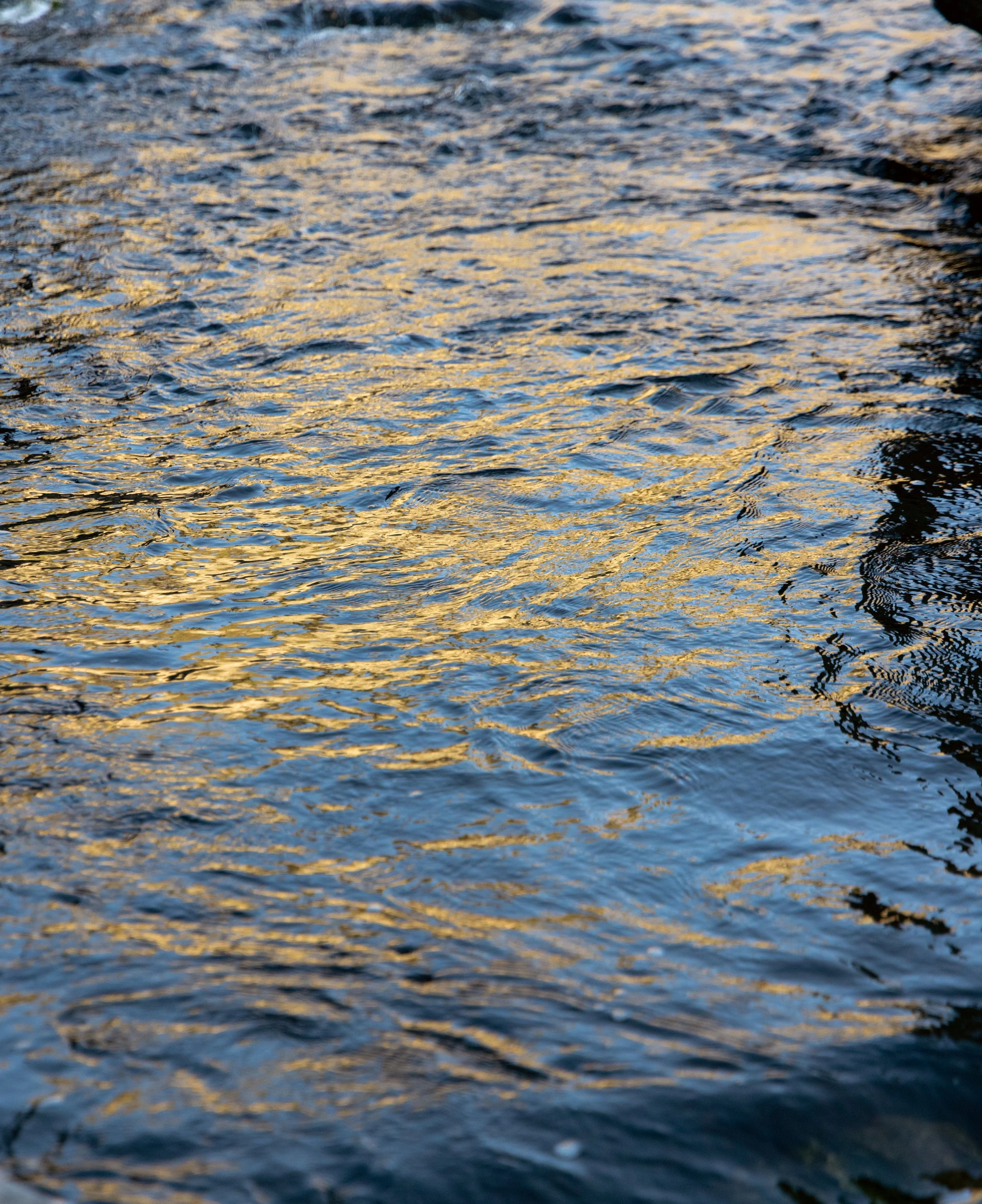 flyfishinghotcreek-26r.jpg