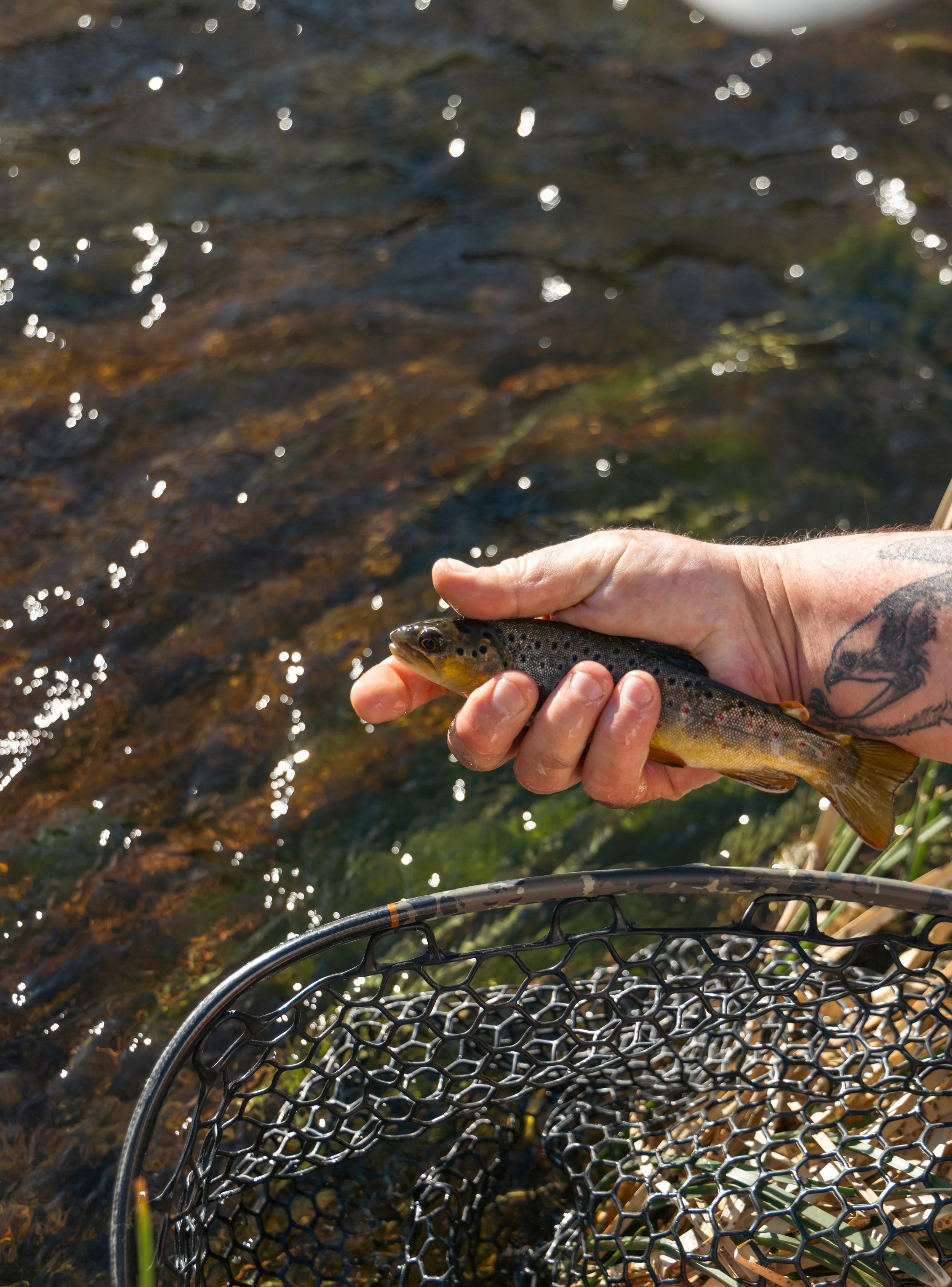 flyfishinghotcreek-21 (1)r.jpg