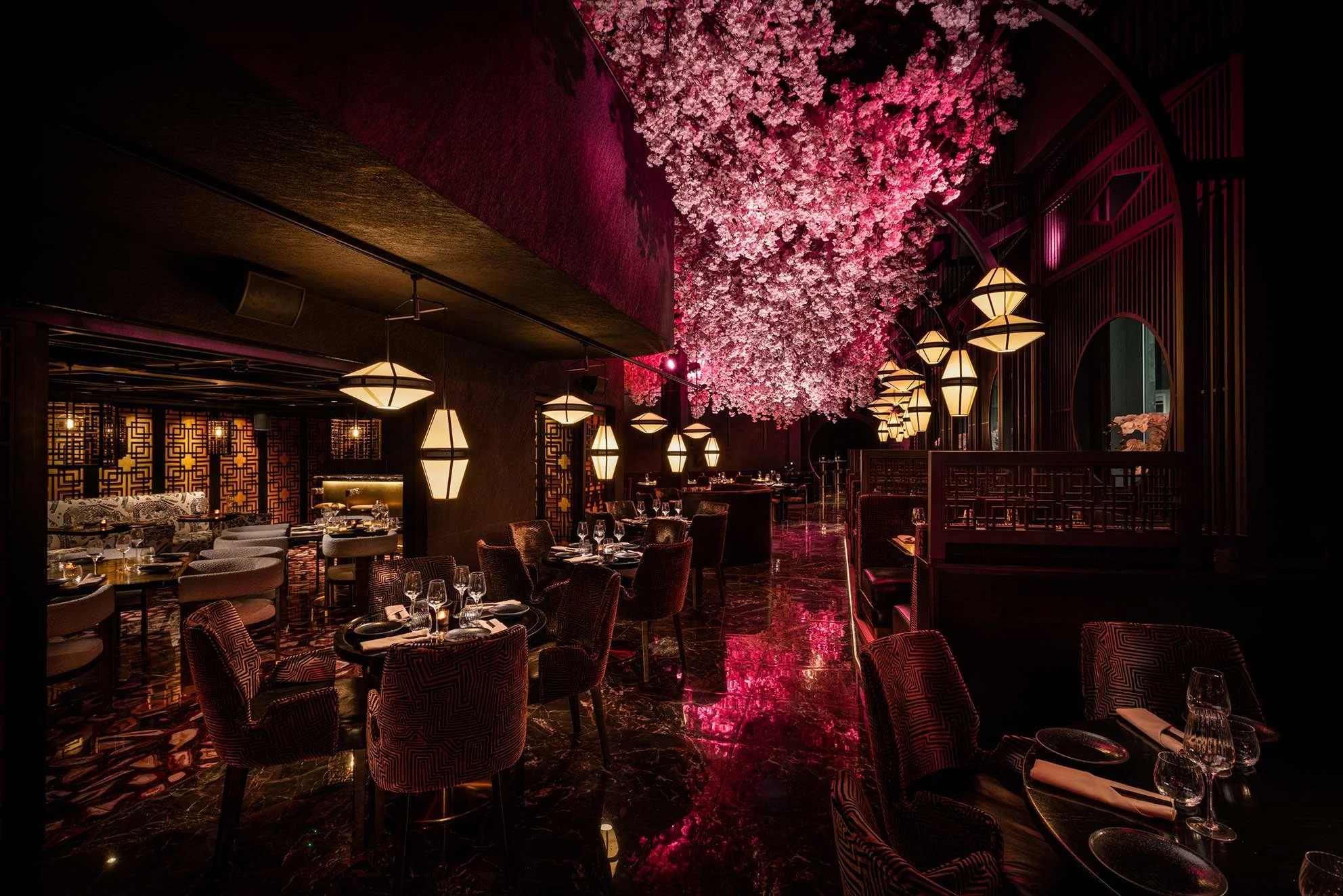 2_christmas_noshi-nottingham.jpg