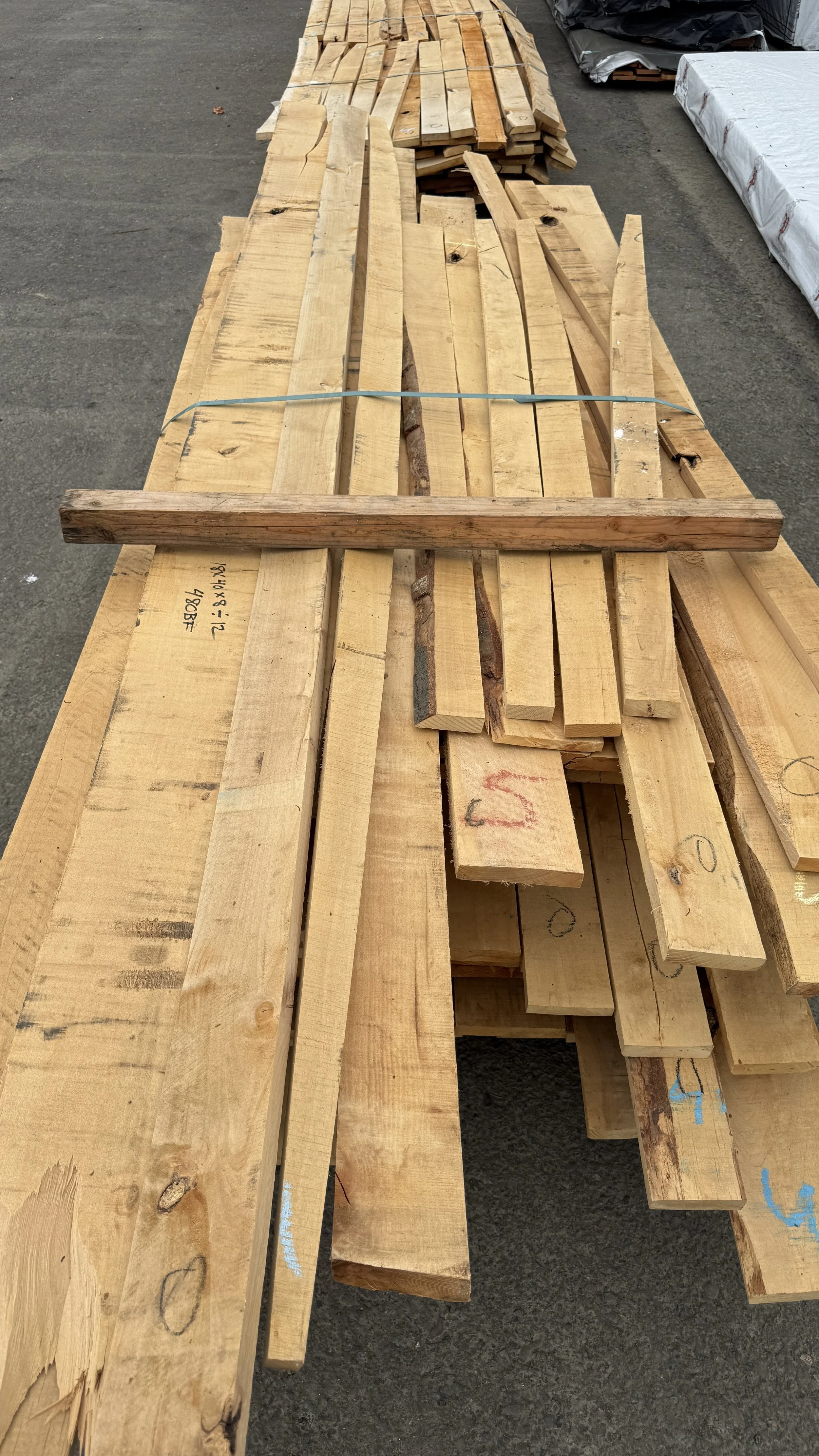 Alder Project Boards Mix Sizes